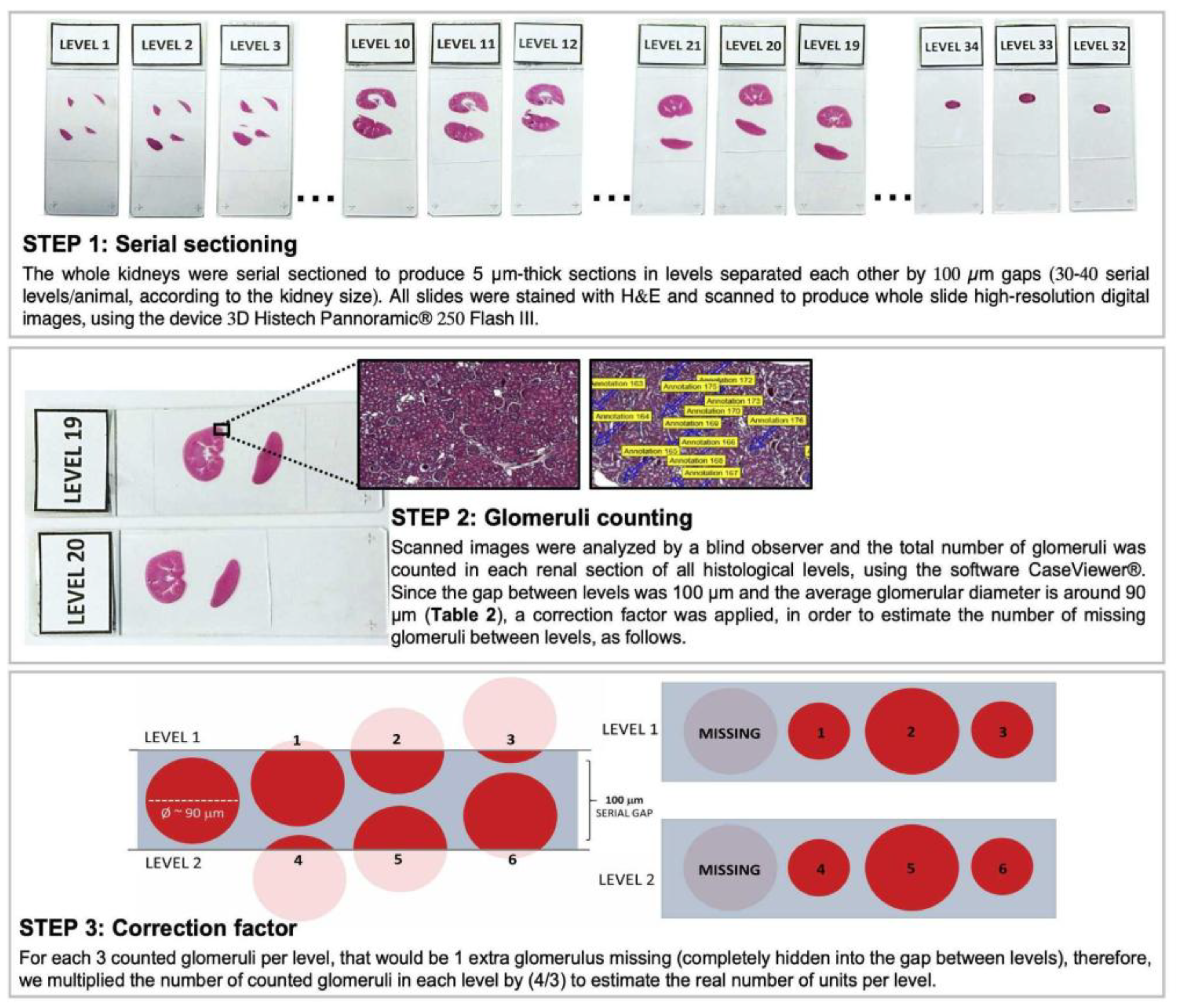 Preprints 192050 g001
