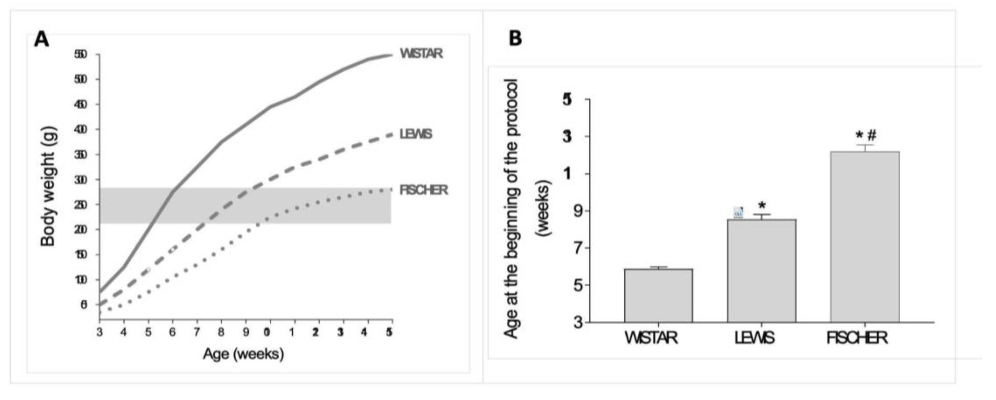 Preprints 192050 g002