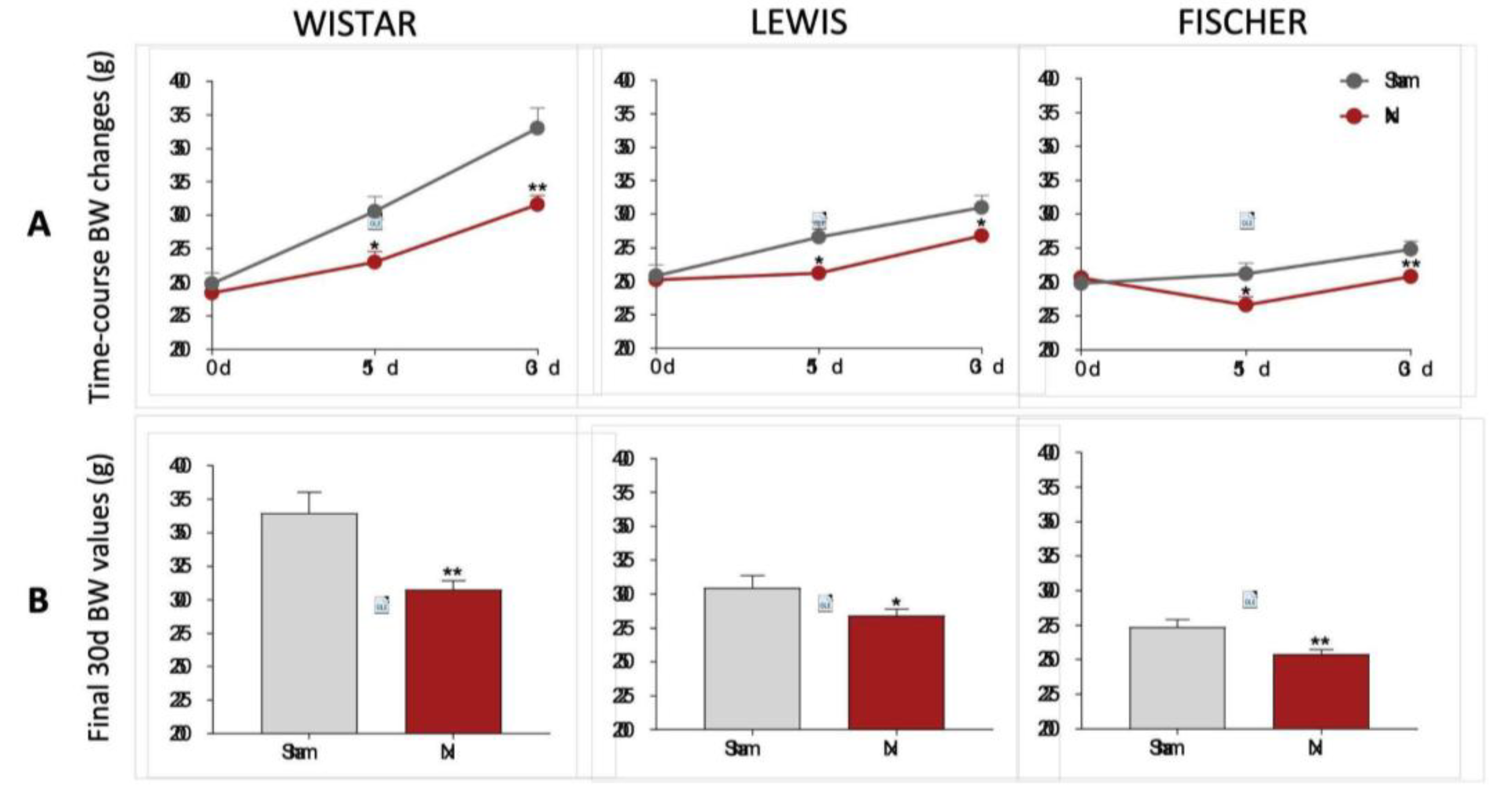 Preprints 192050 g003