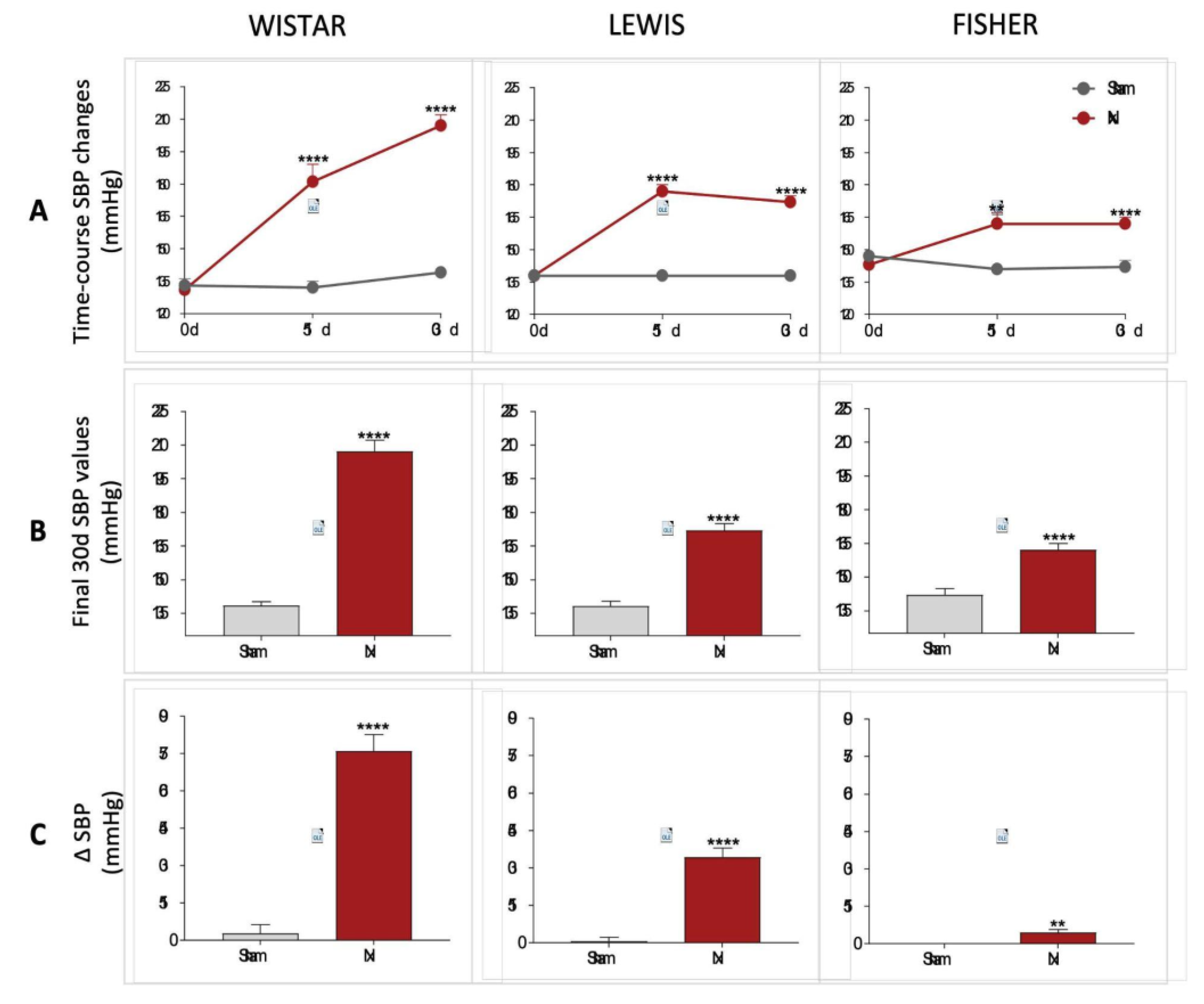 Preprints 192050 g004