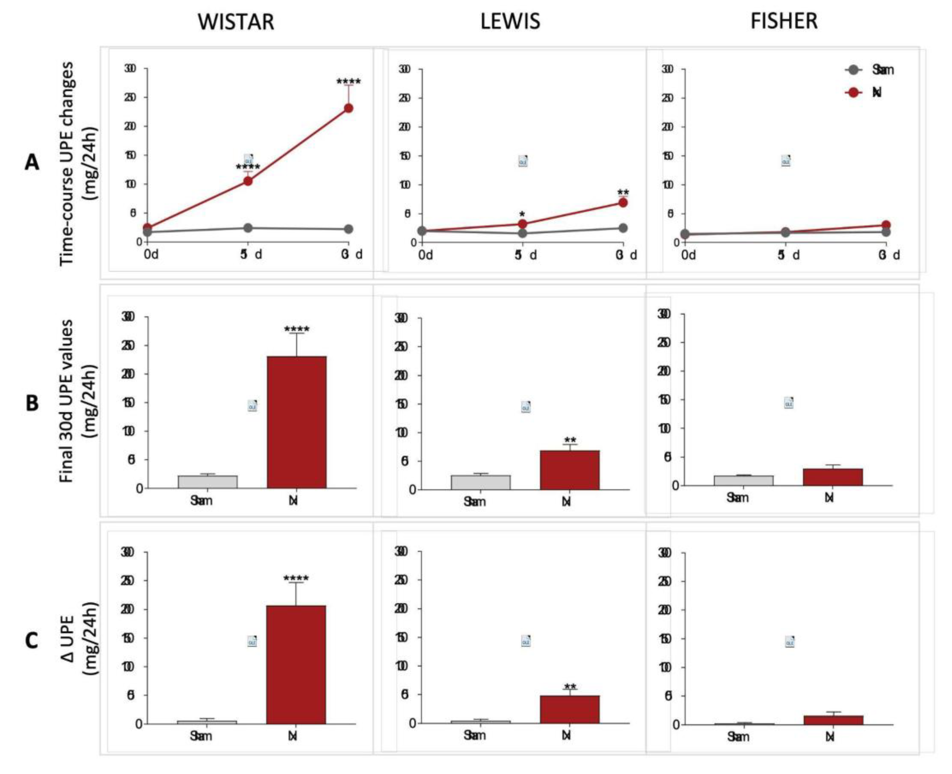 Preprints 192050 g005