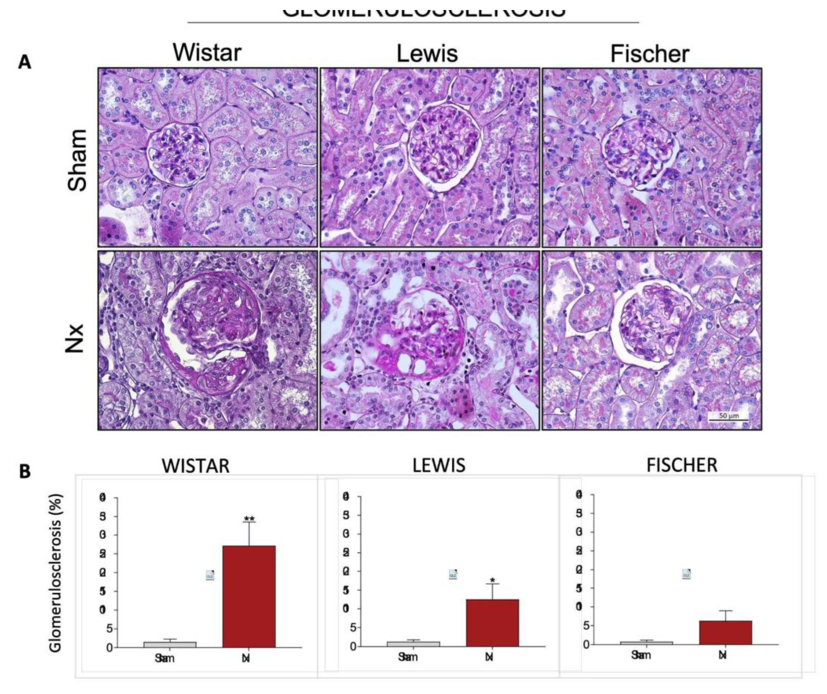 Preprints 192050 g008