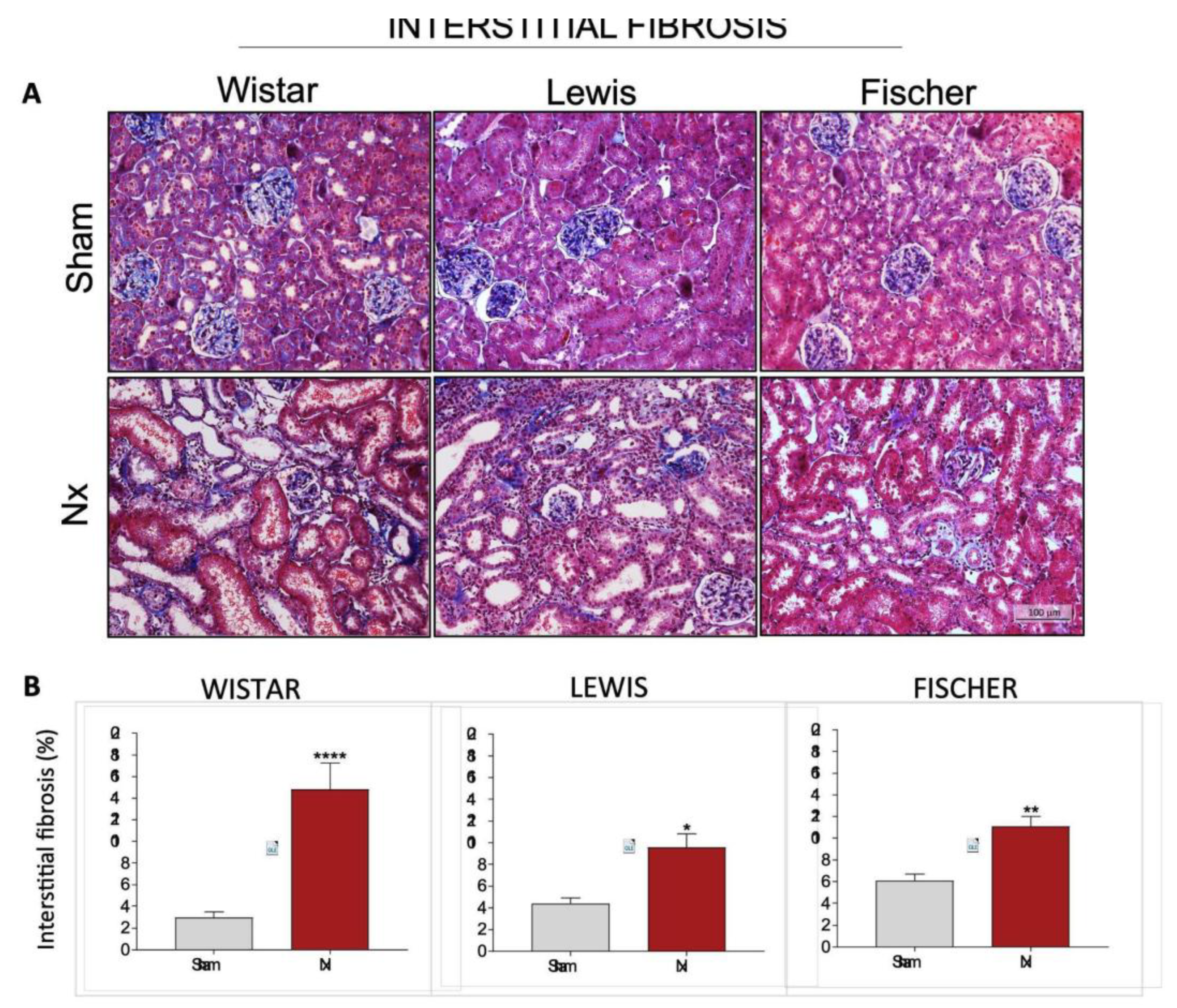 Preprints 192050 g009