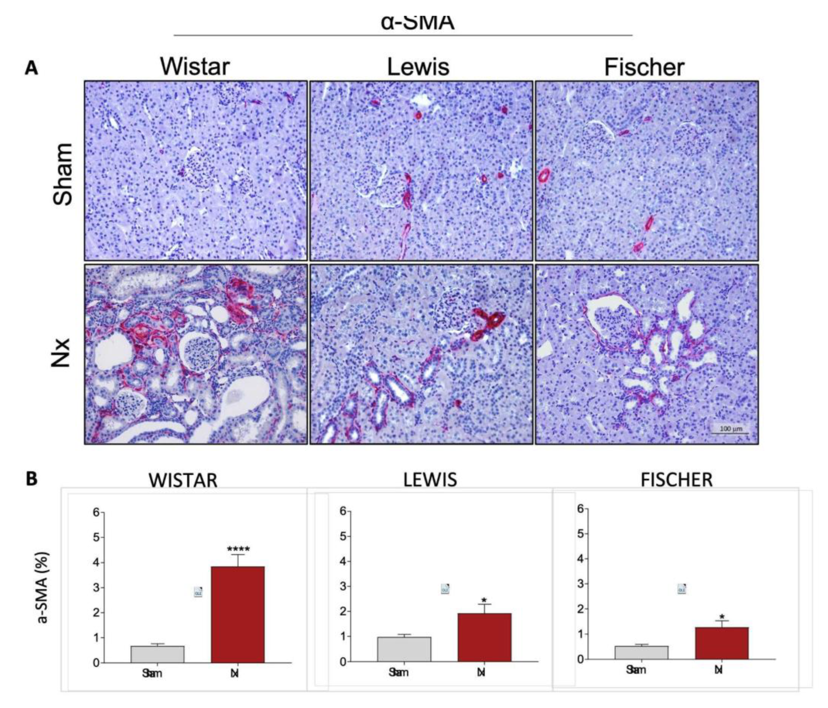 Preprints 192050 g010