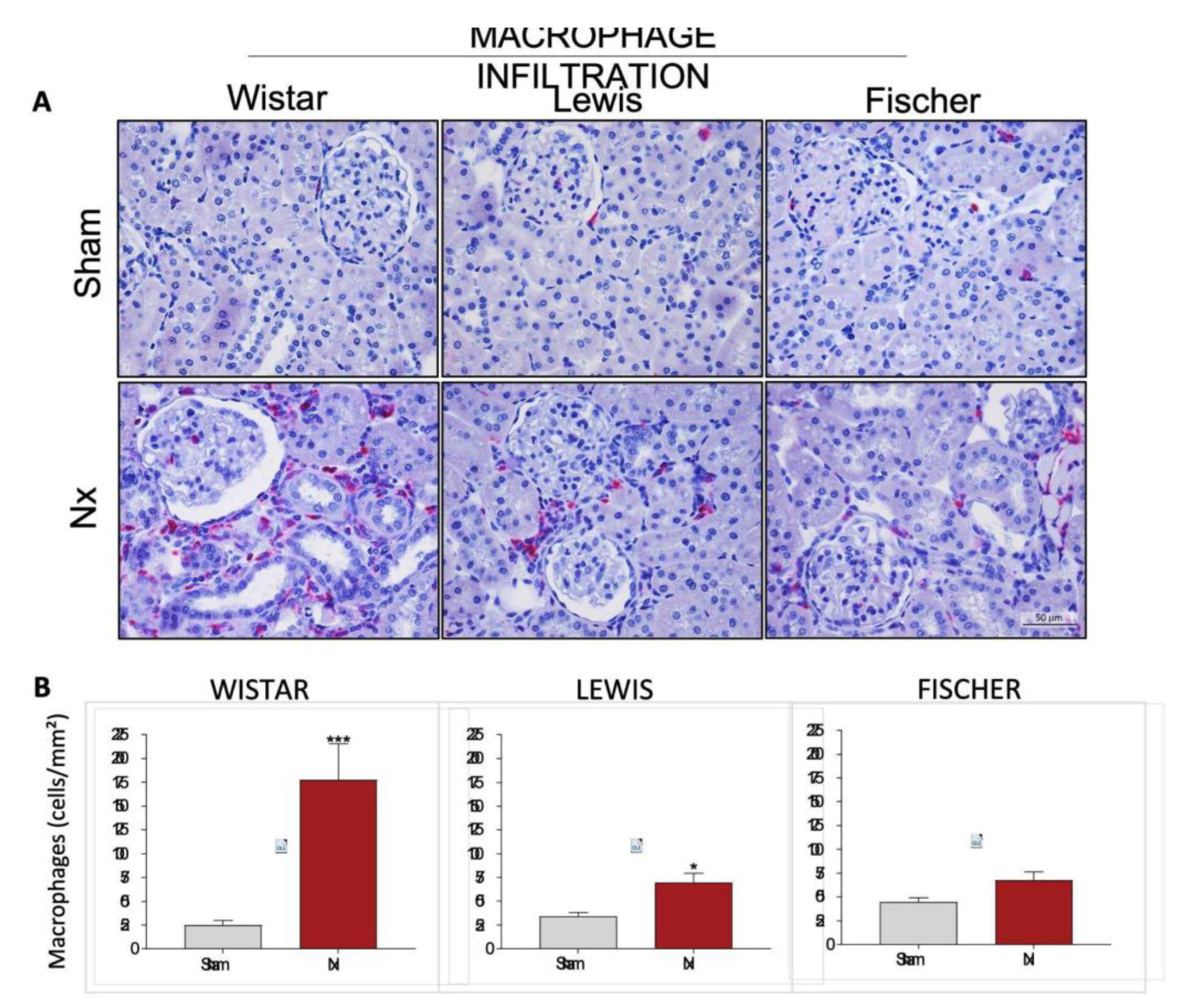 Preprints 192050 g011