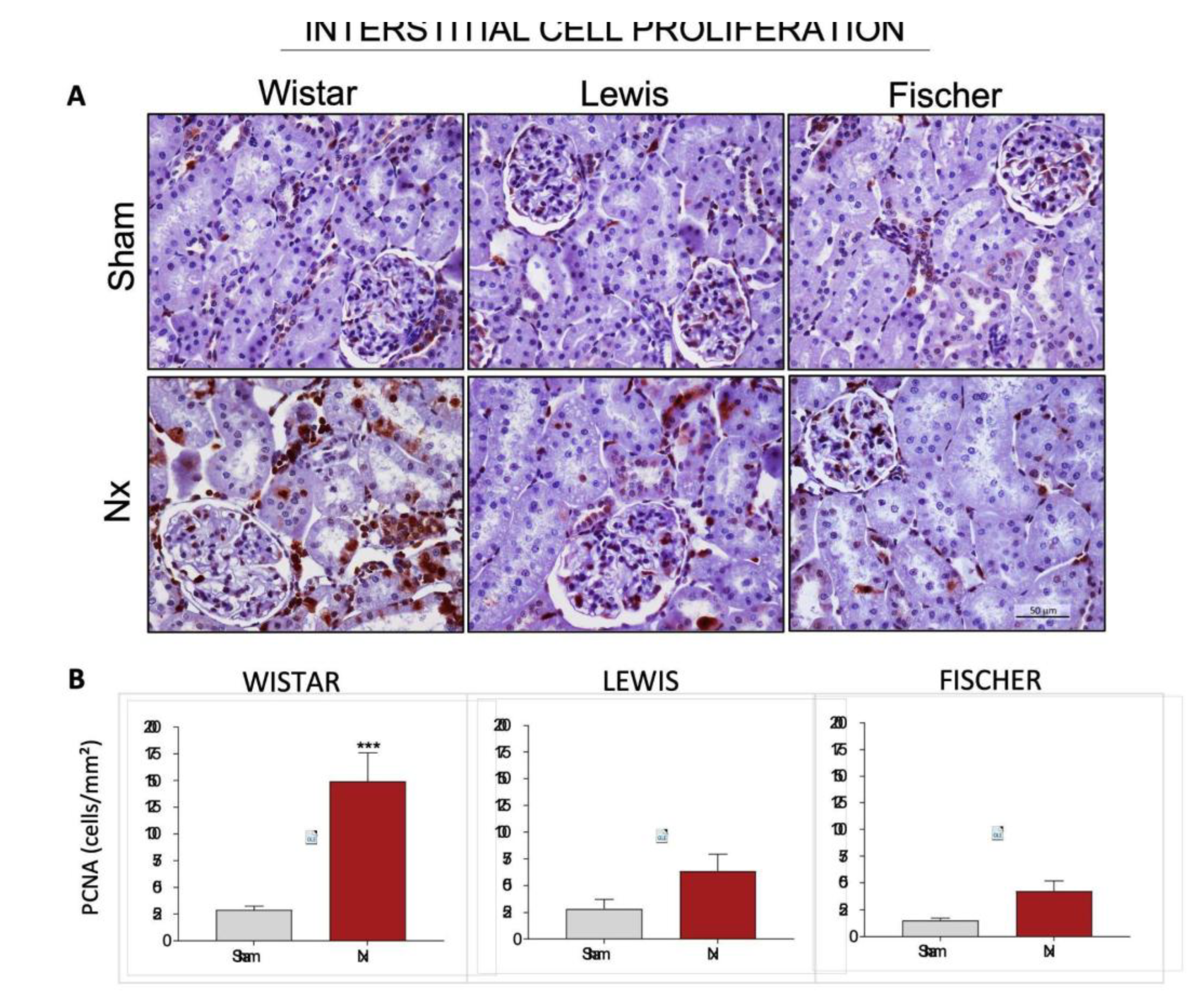 Preprints 192050 g012