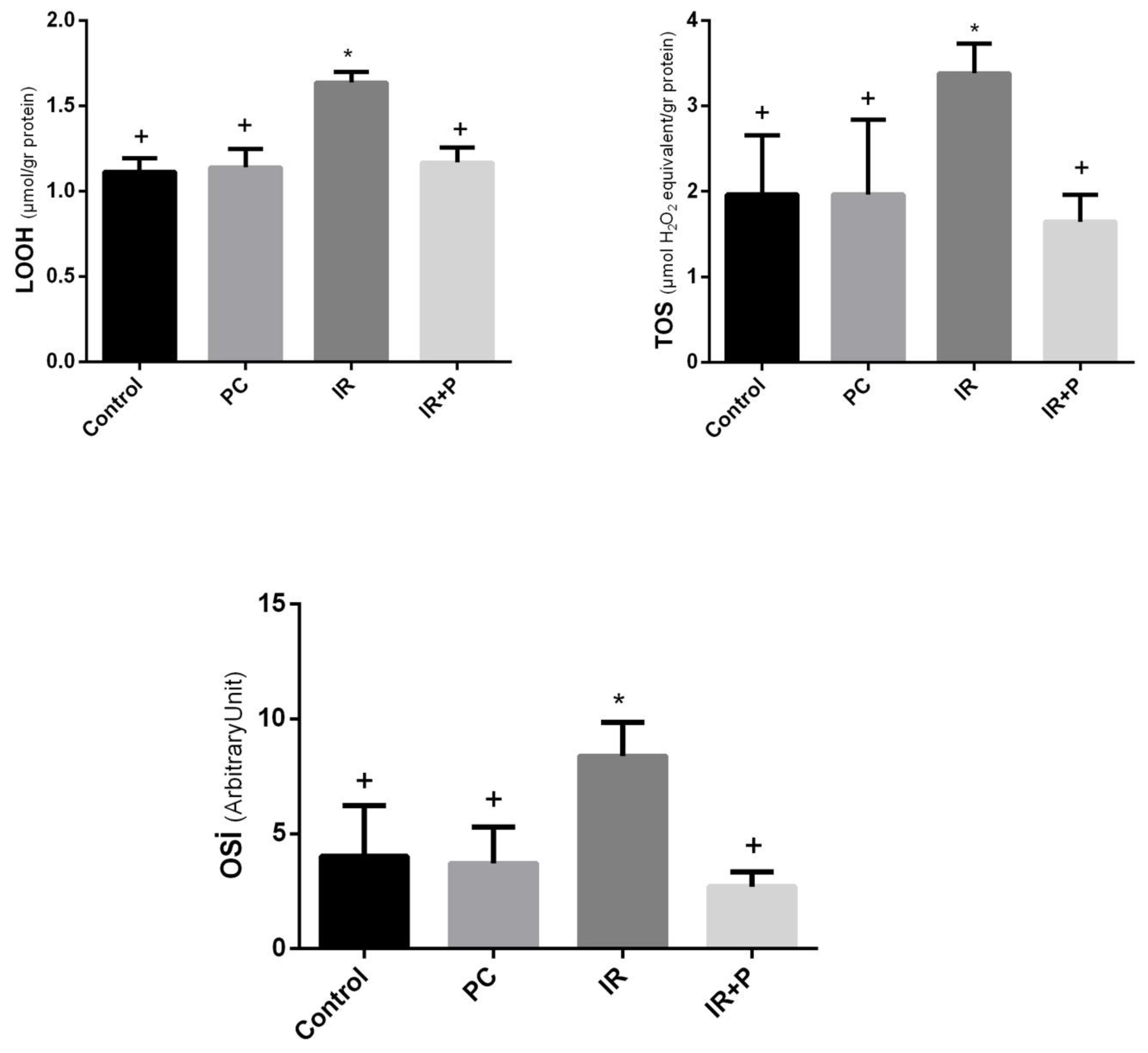 Preprints 148179 g001