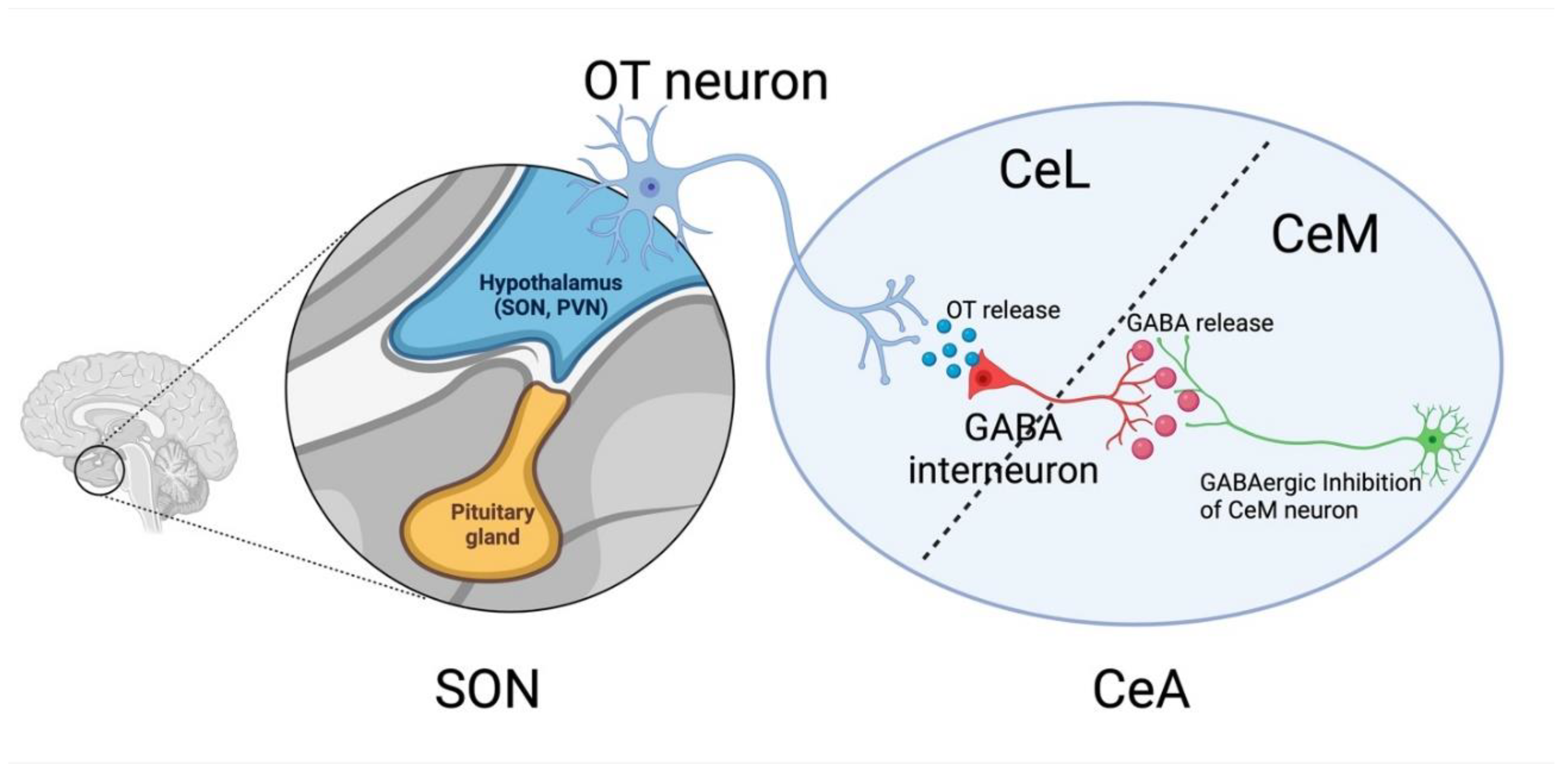 Preprints 184248 g001