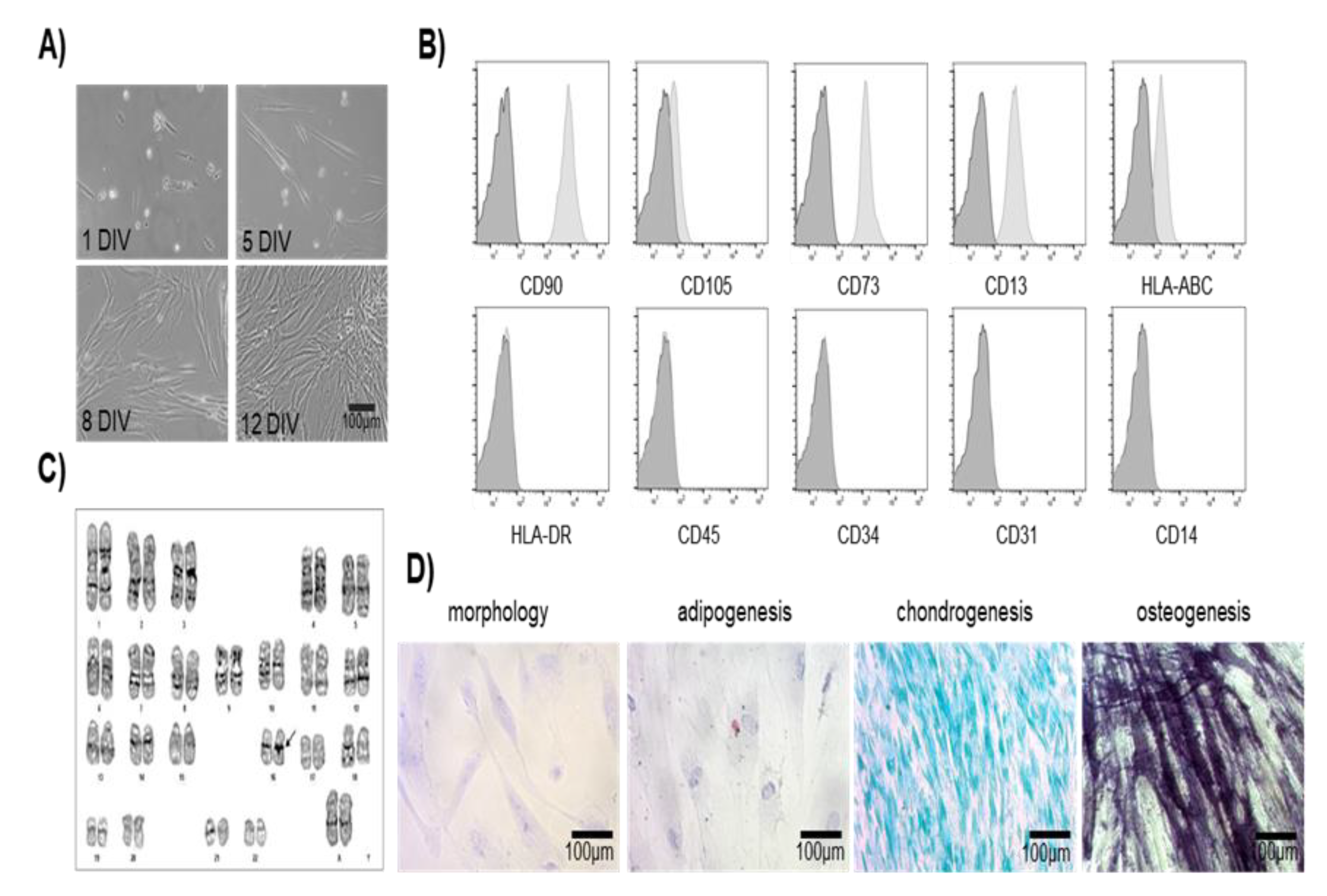 Preprints 160244 g001