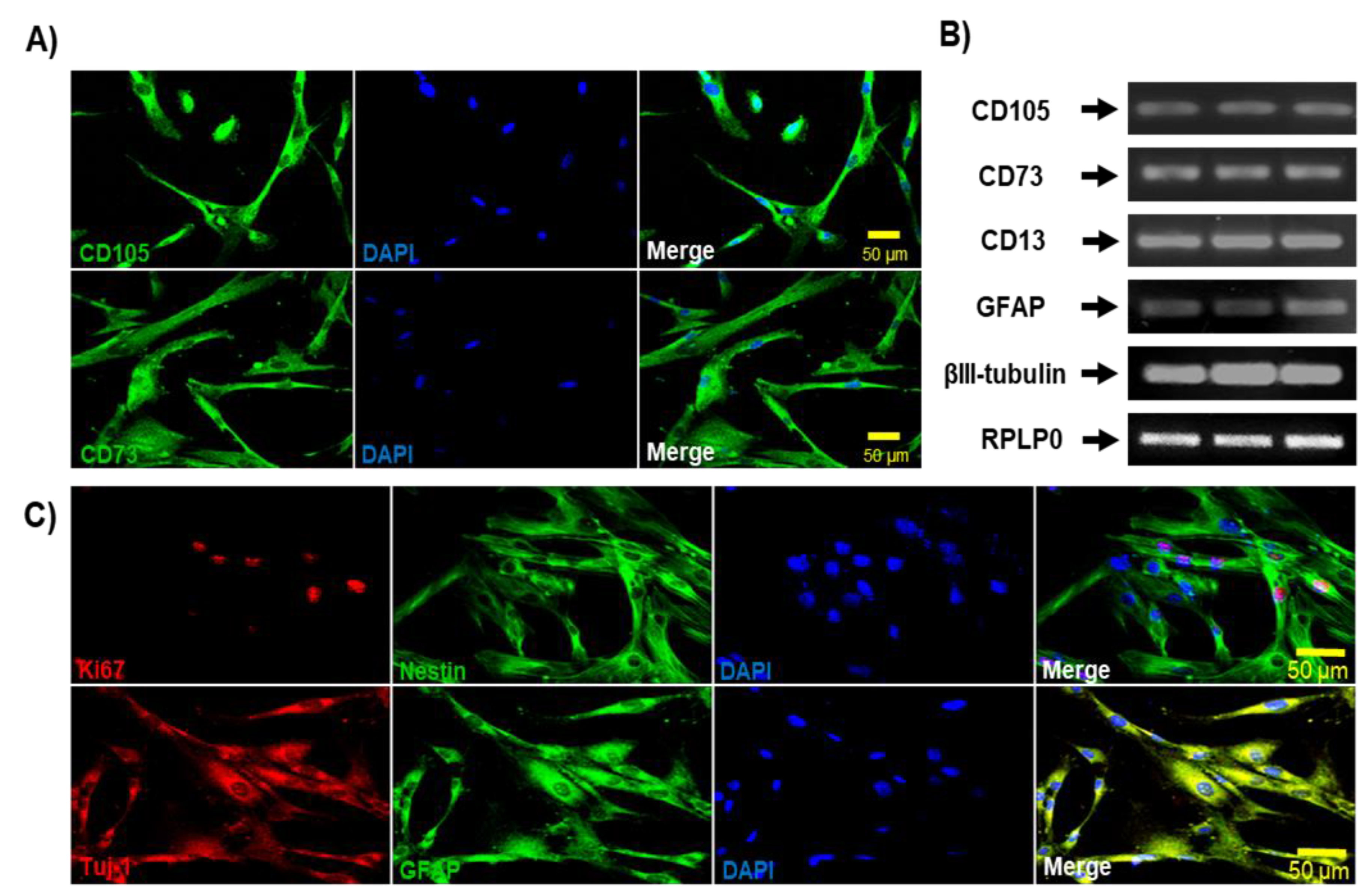 Preprints 160244 g002