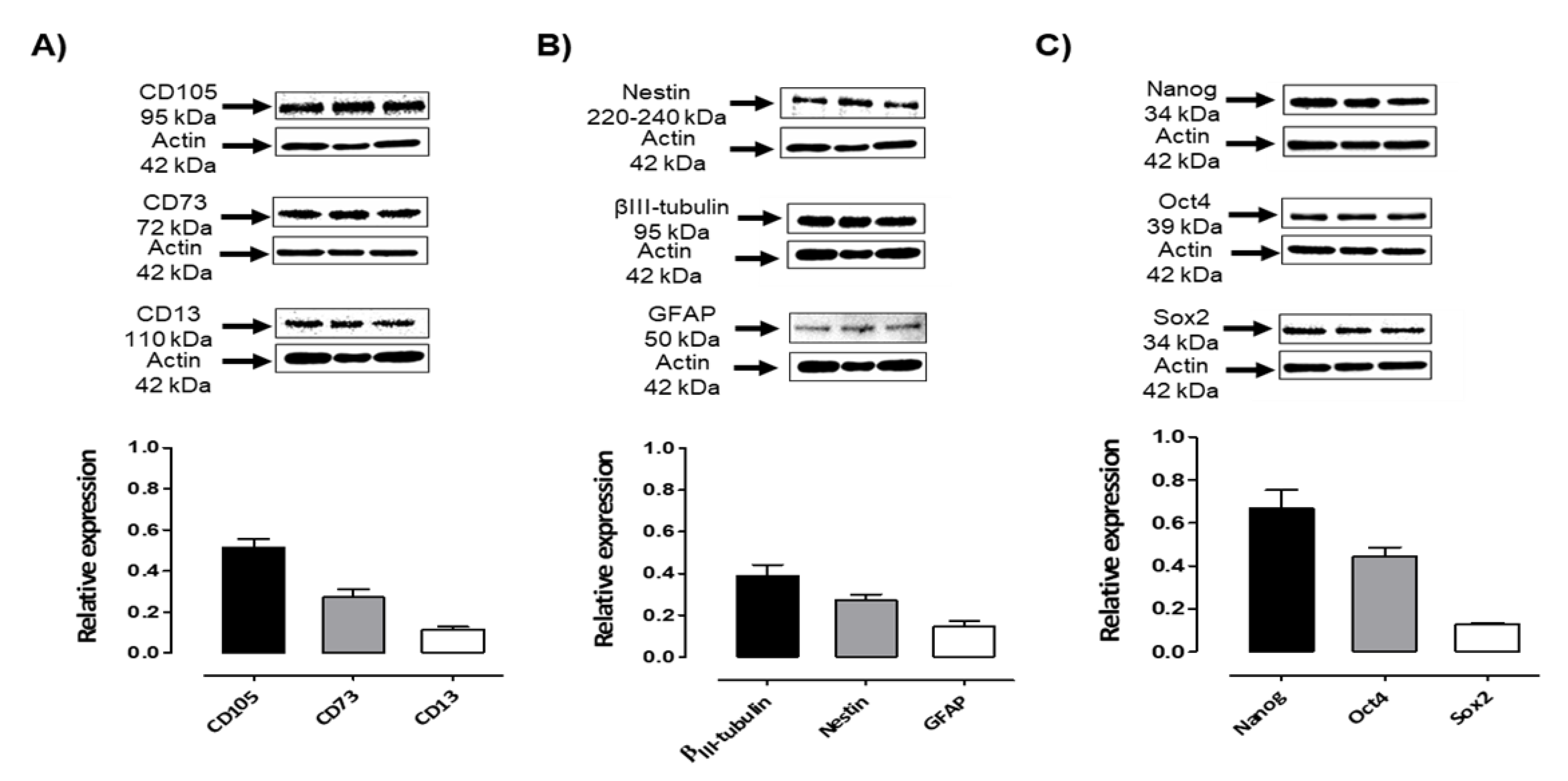 Preprints 160244 g003