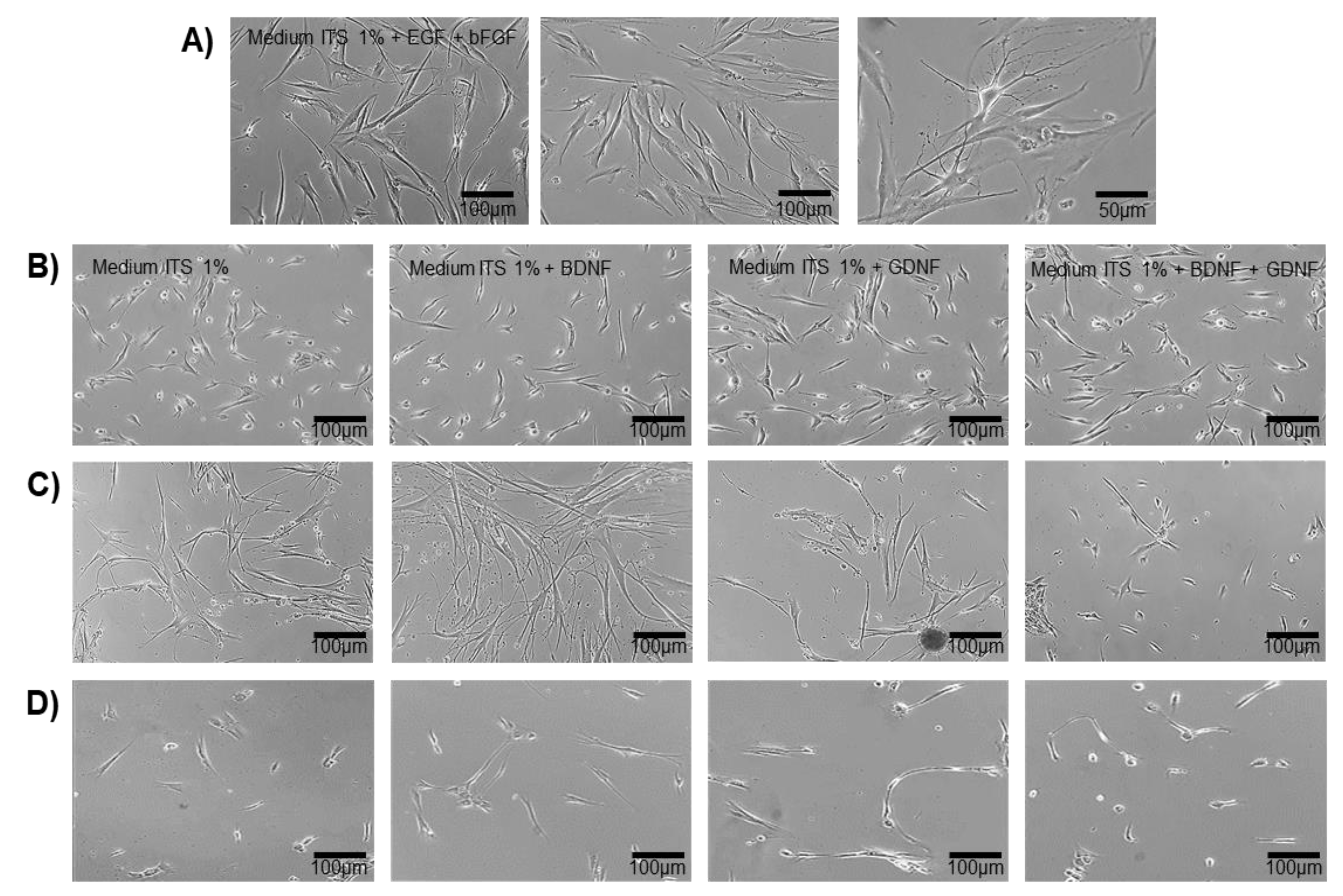 Preprints 160244 g004