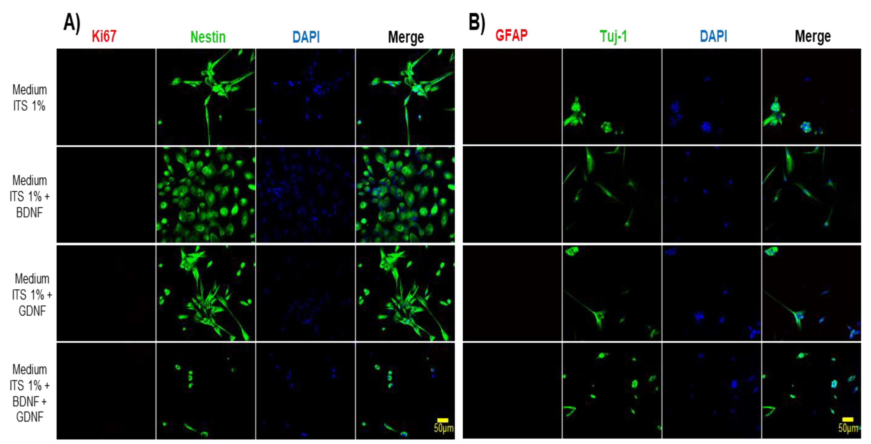 Preprints 160244 g005