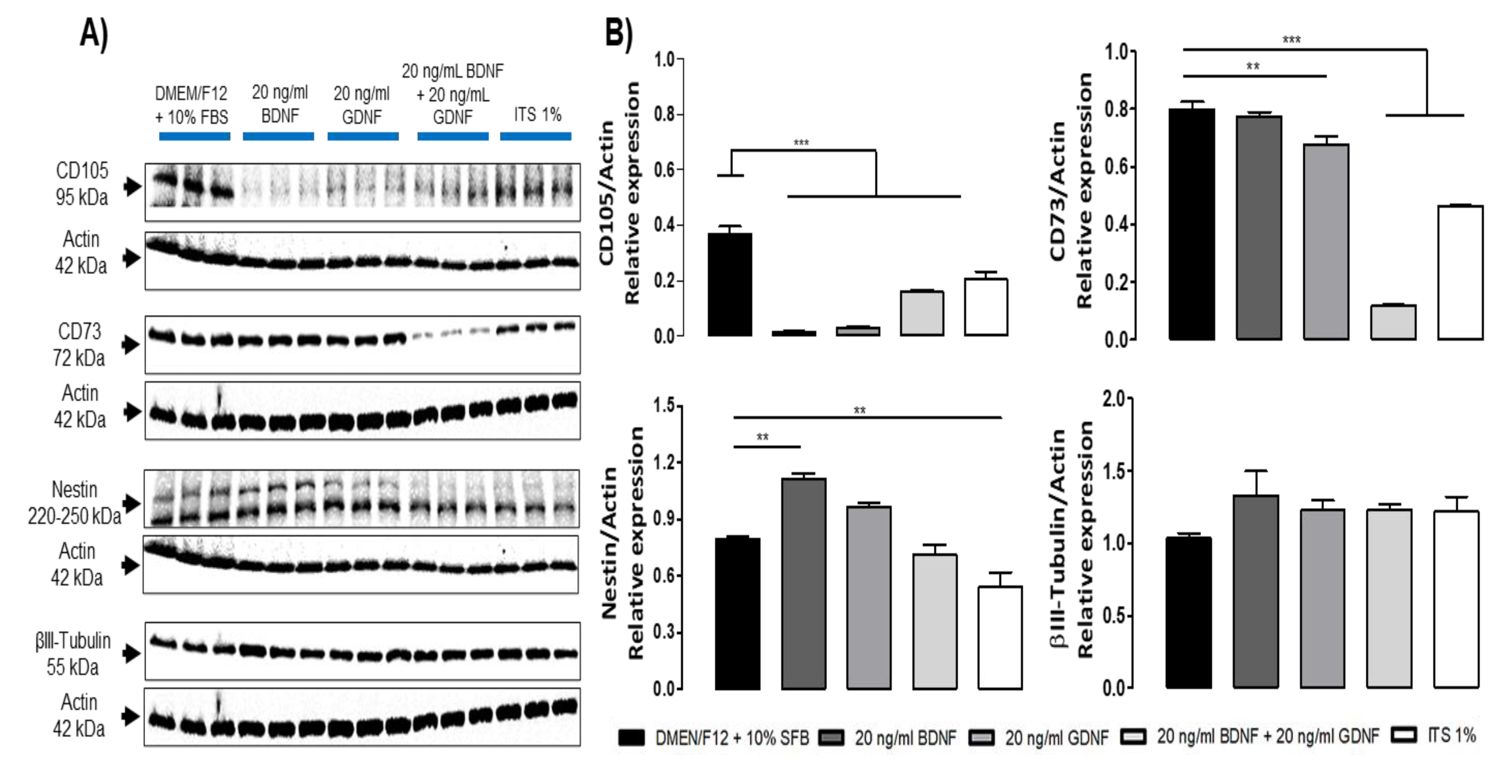 Preprints 160244 g006