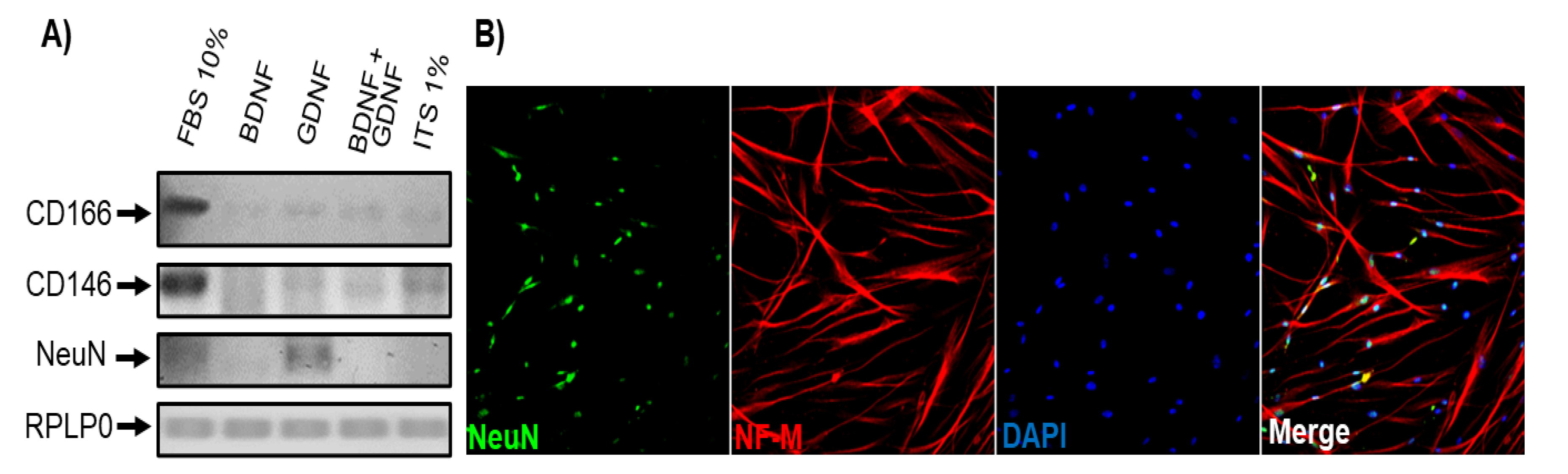 Preprints 160244 g007