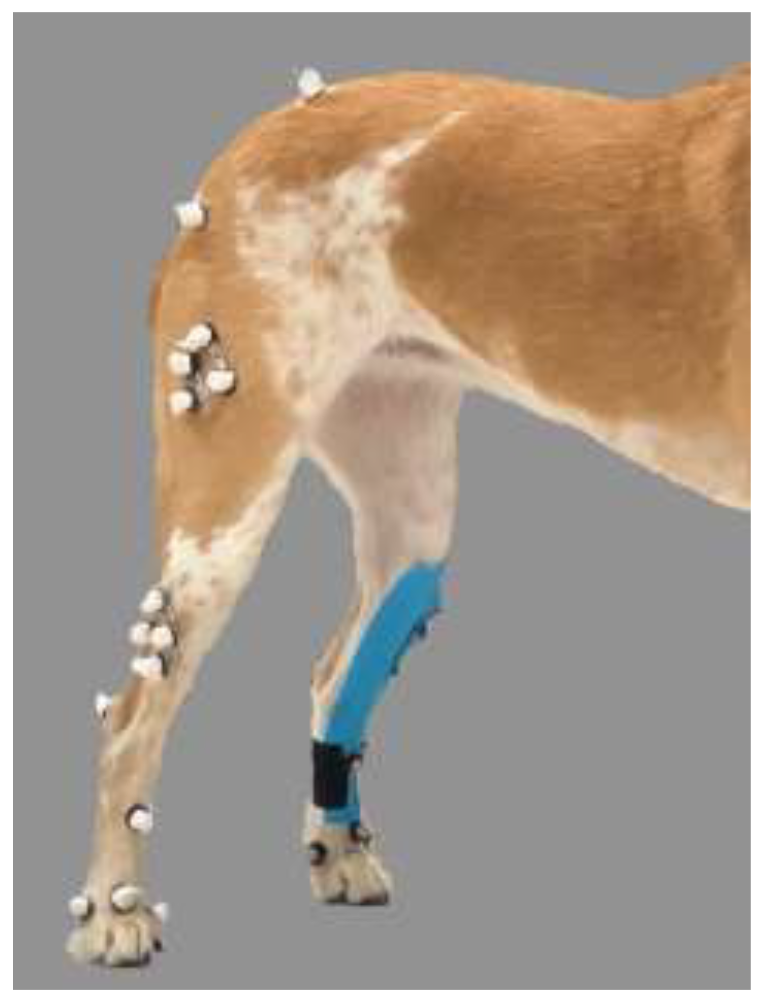 Preprints 152428 g003