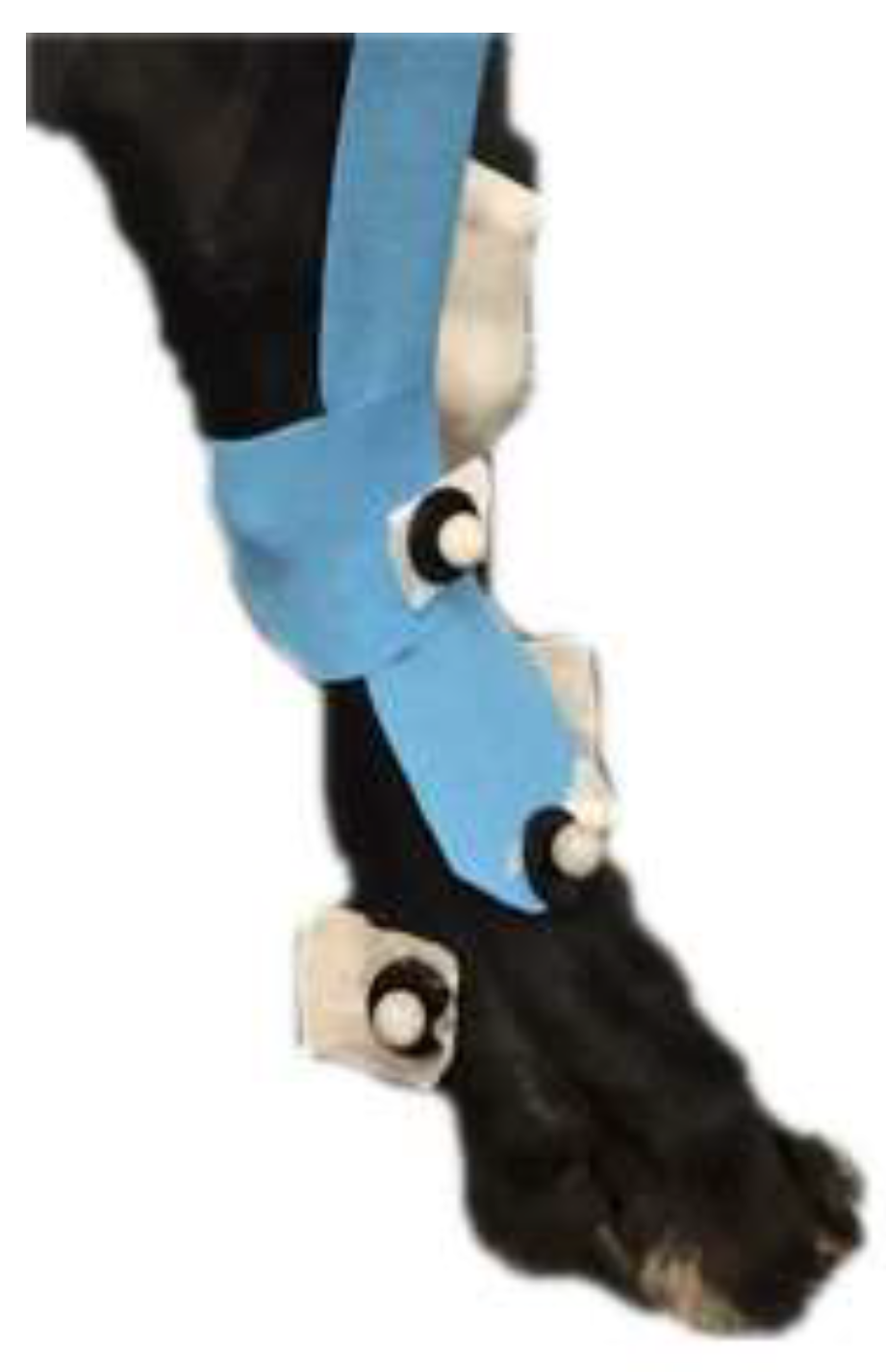 Preprints 152428 g005