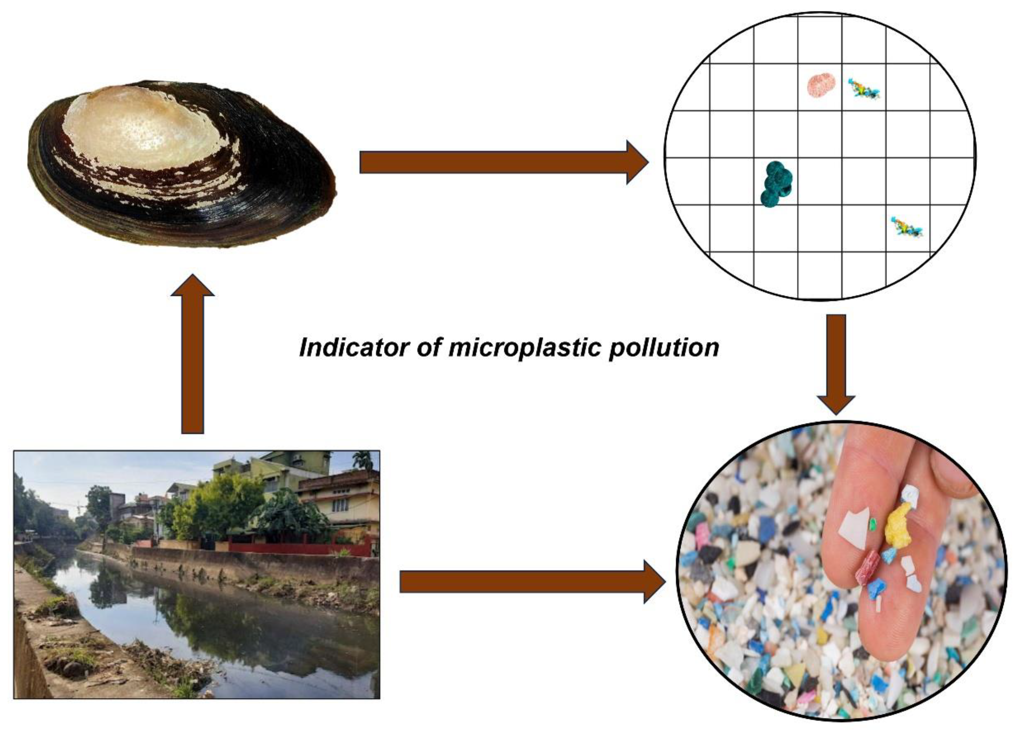 Preprints 144745 g003