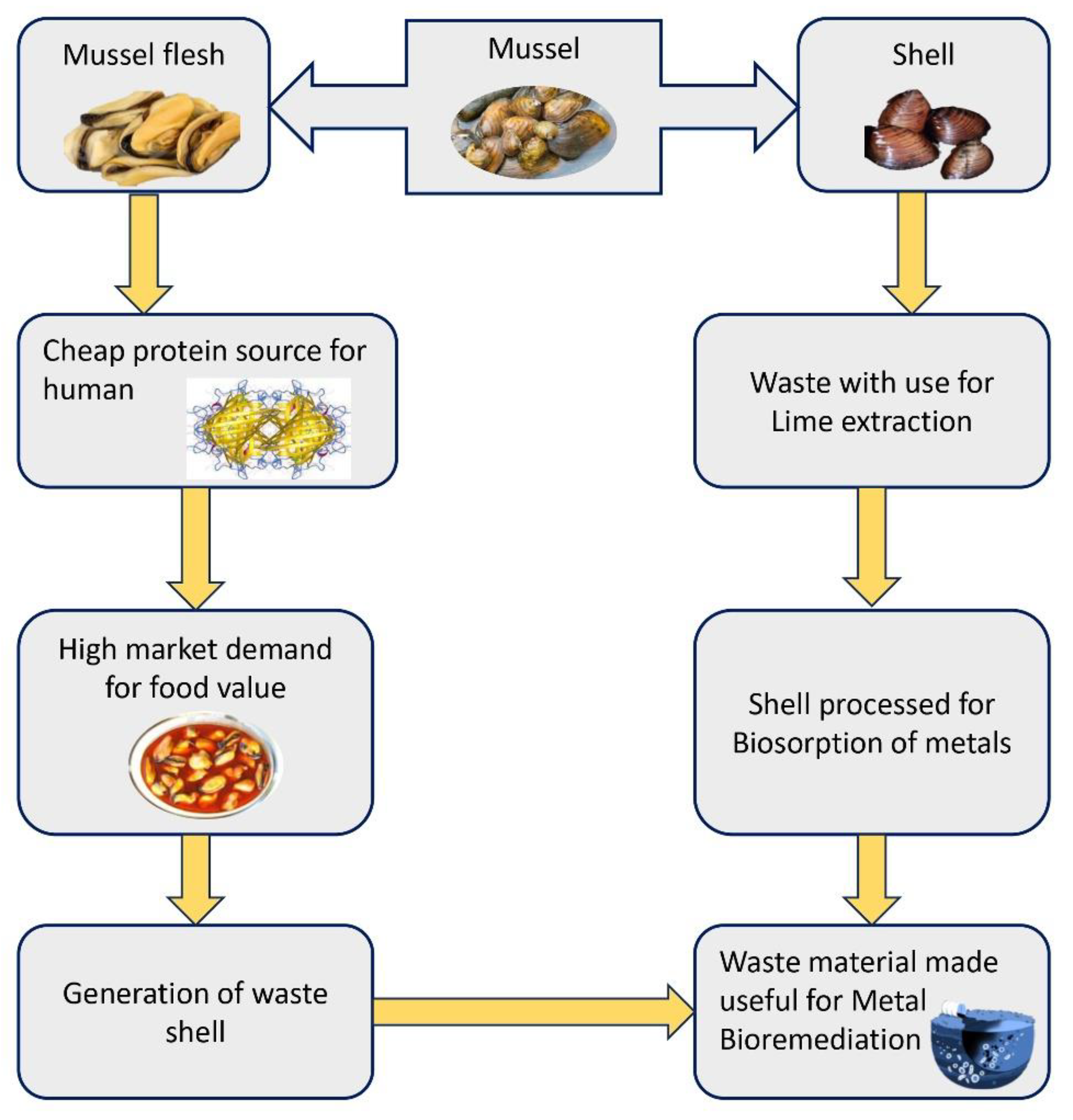 Preprints 144745 g004