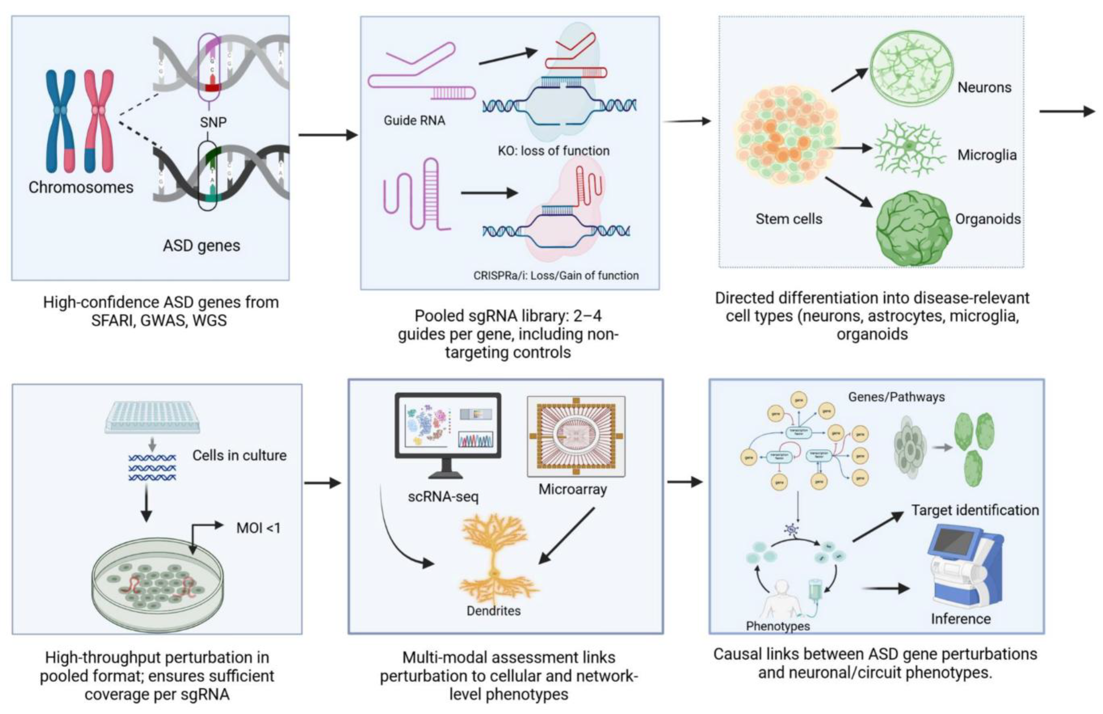 Preprints 186517 g001