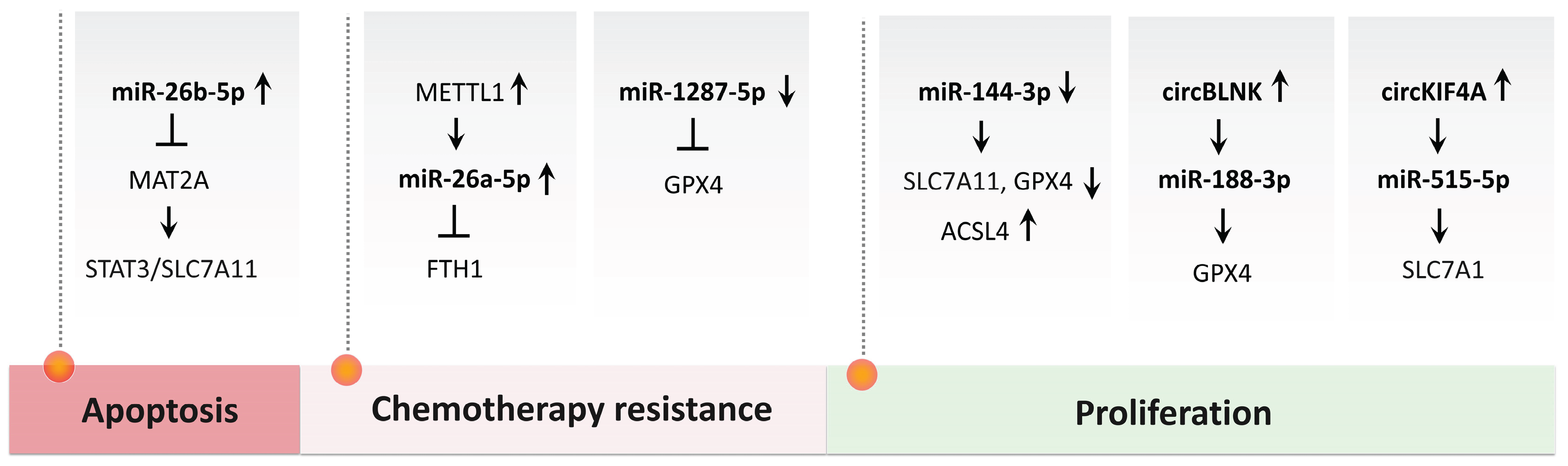 Preprints 176785 g004
