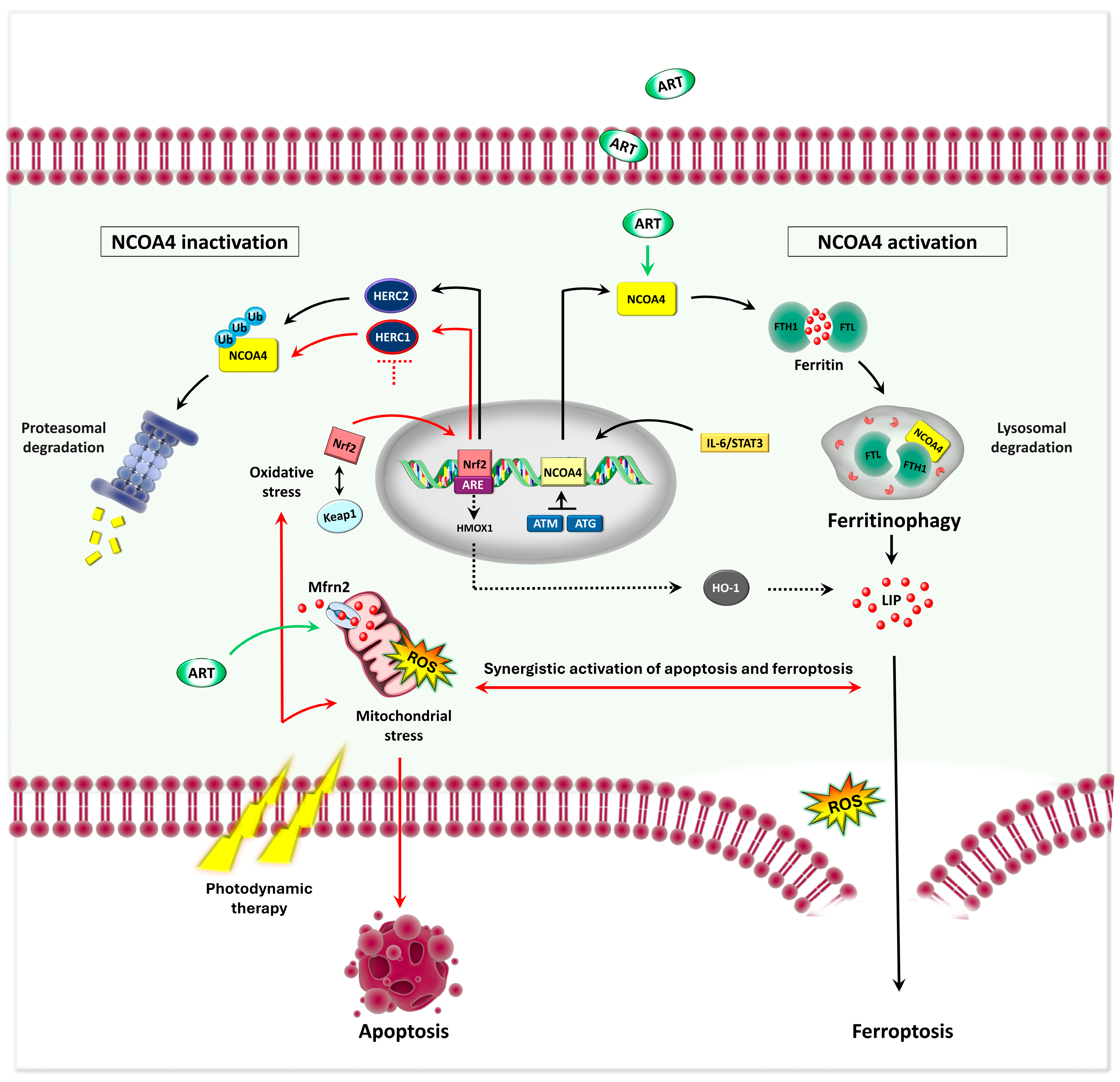 Preprints 176785 g005