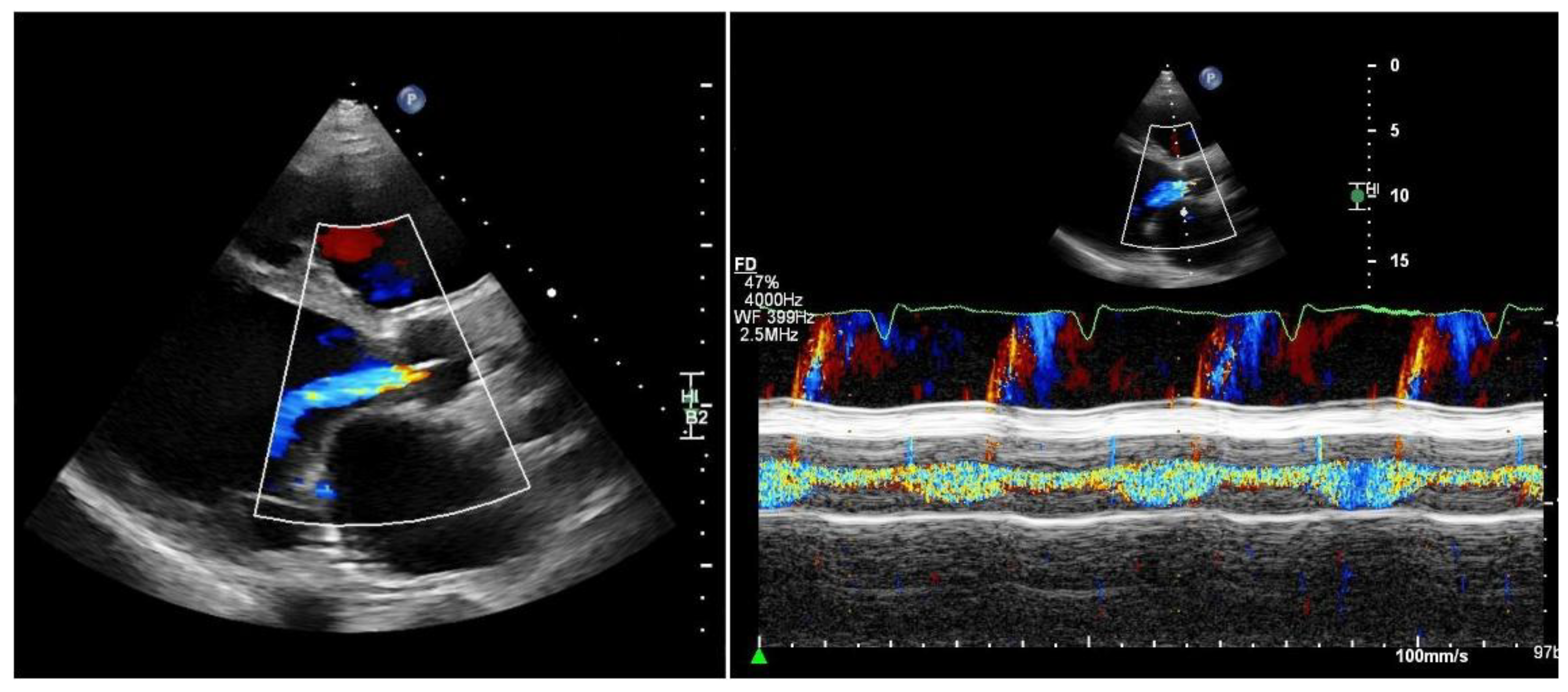 Preprints 191358 g002