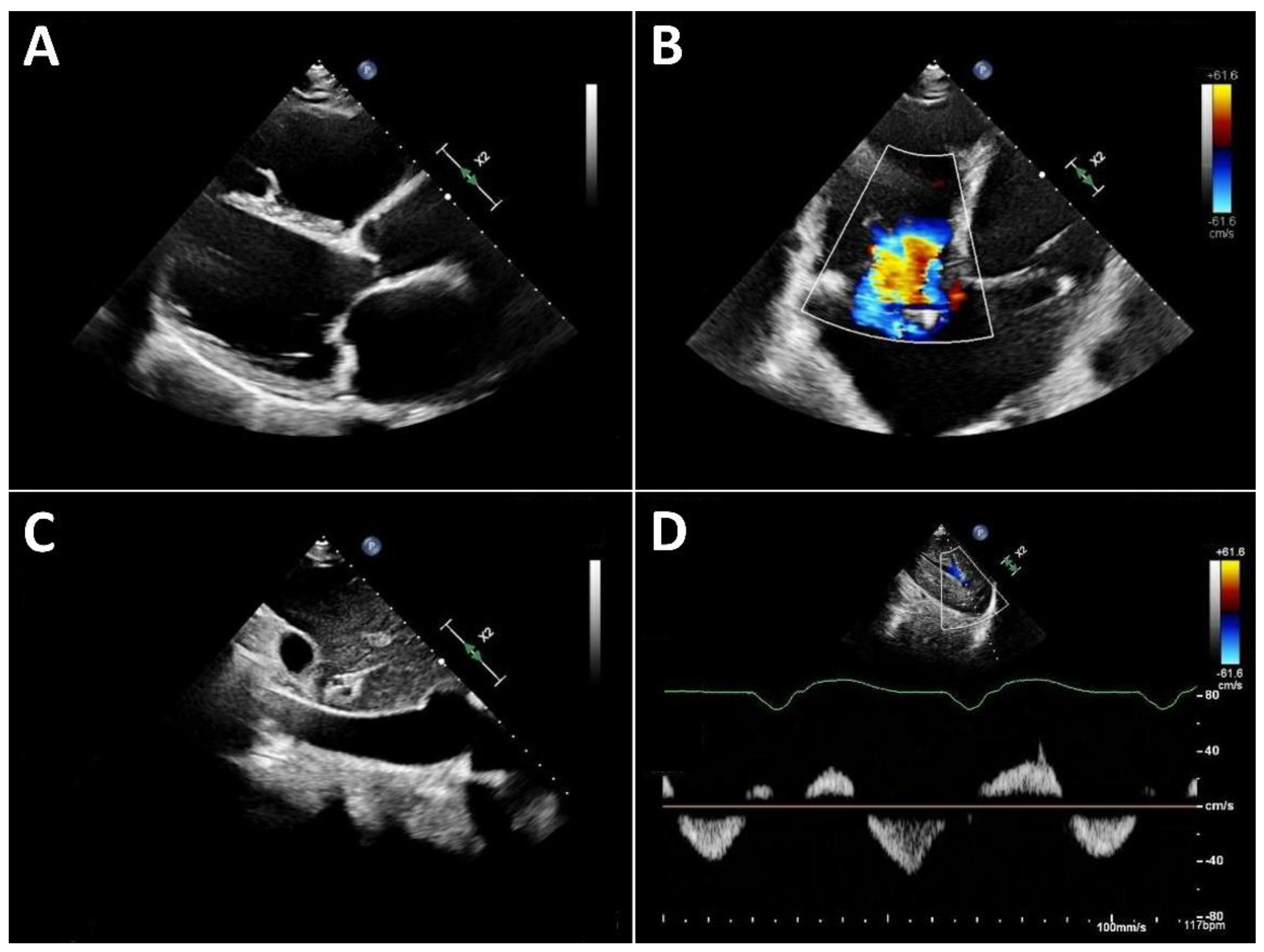 Preprints 191358 g003