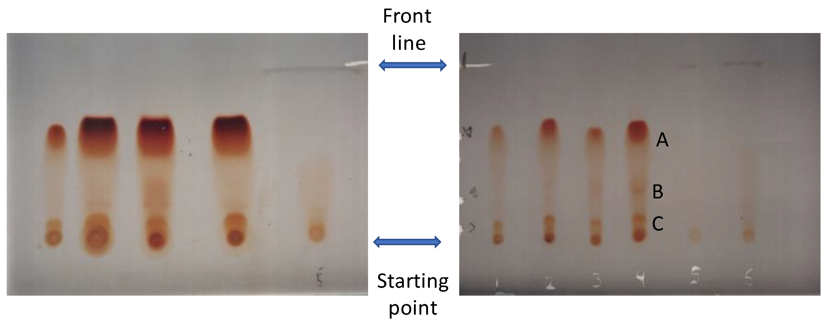 Preprints 106022 g001