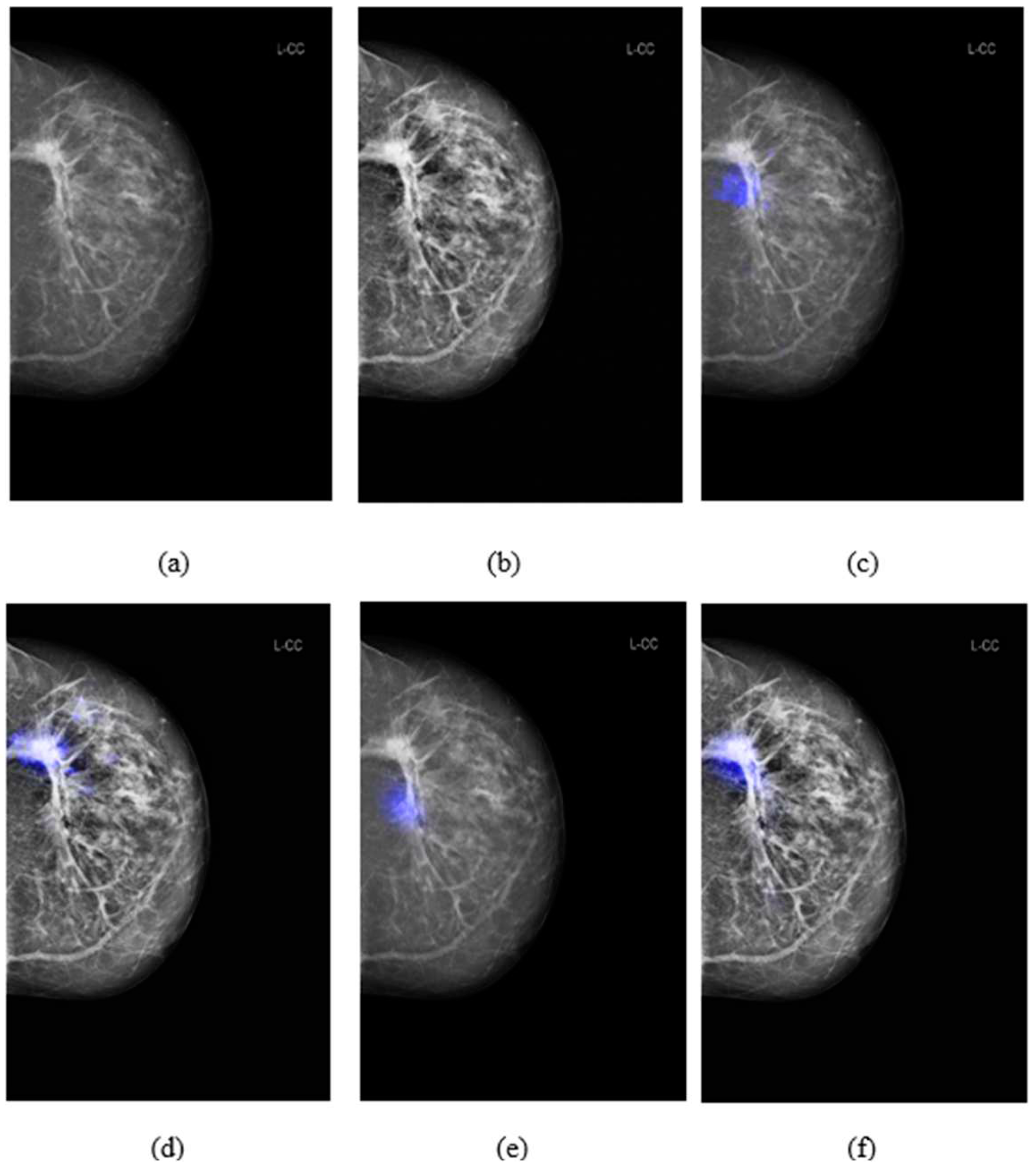 Preprints 92963 g005