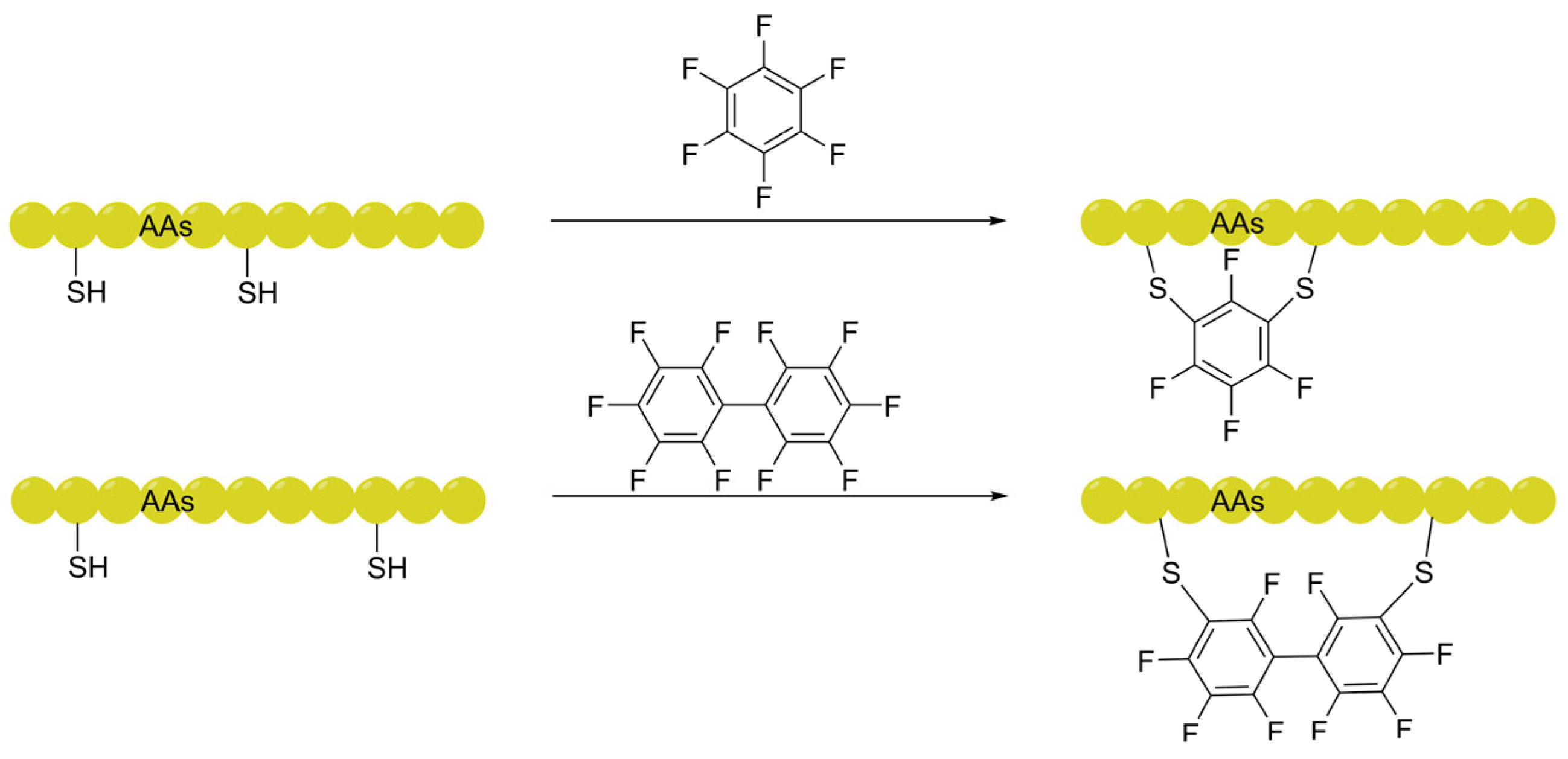 Preprints 200926 g002