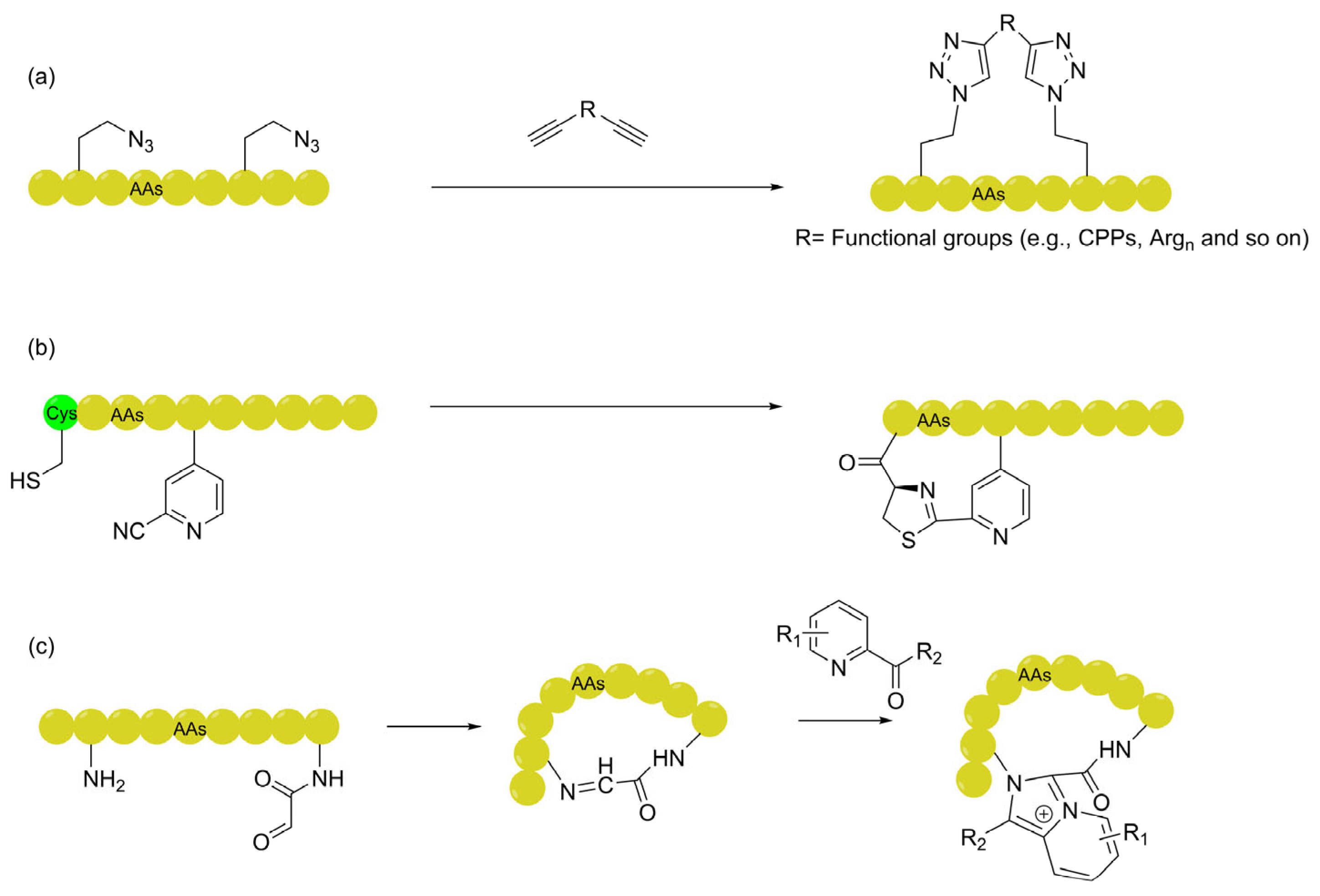 Preprints 200926 g003