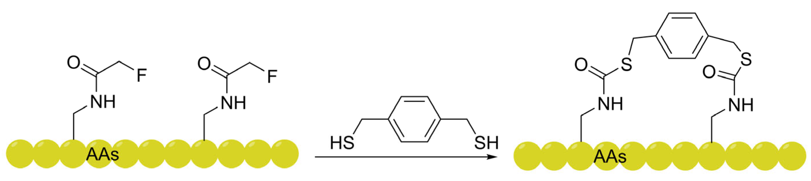 Preprints 200926 g005