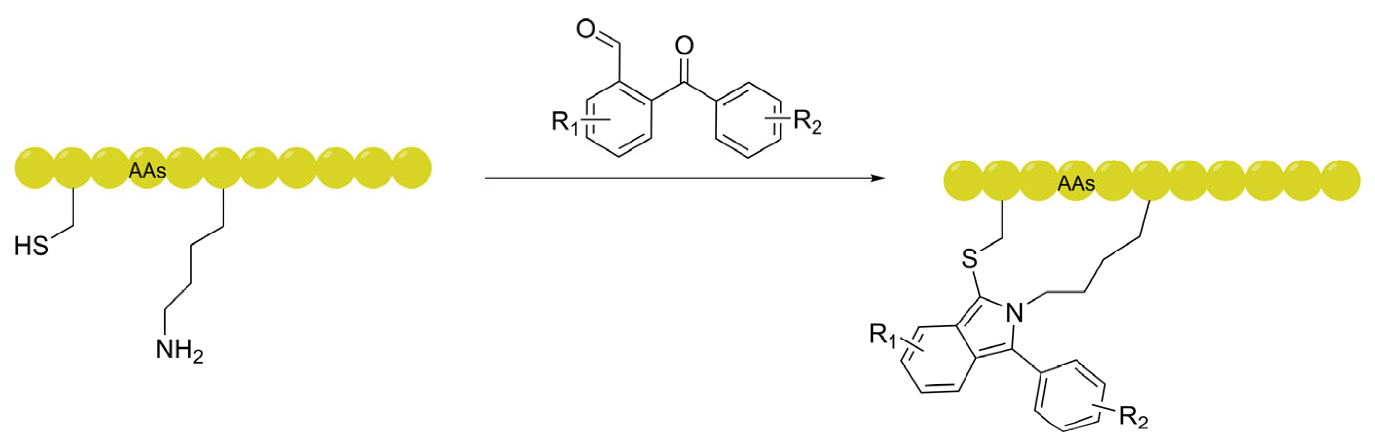 Preprints 200926 g006