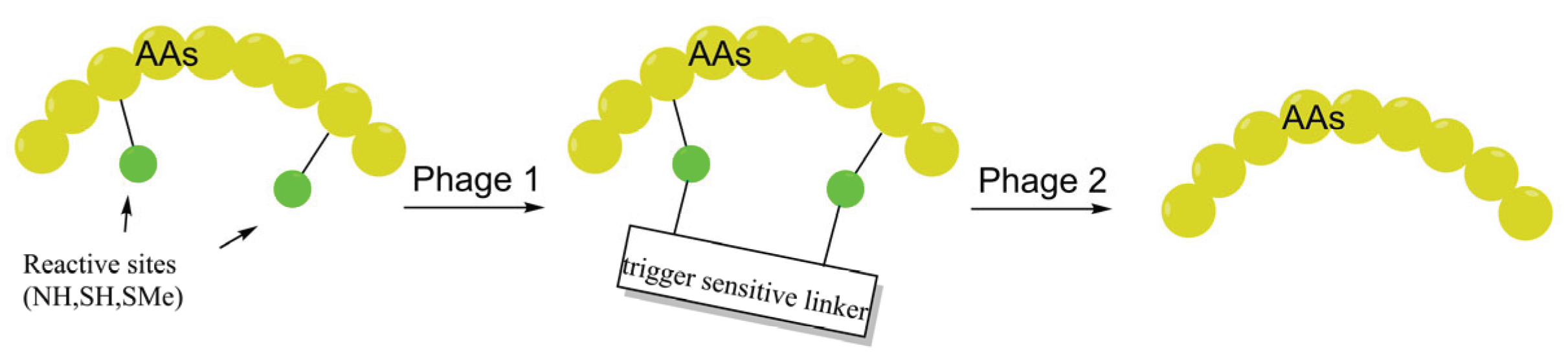 Preprints 200926 g007