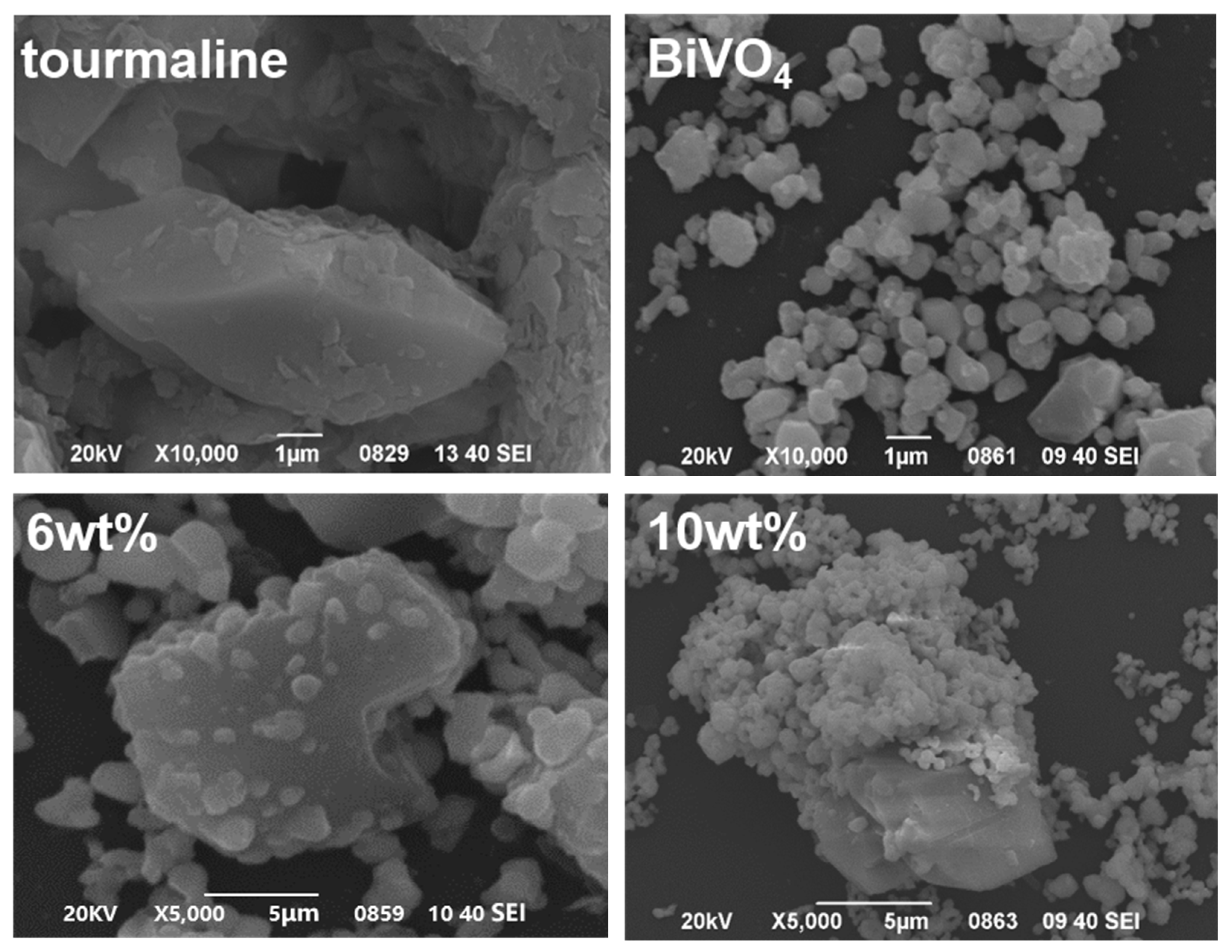 Preprints 181862 g002