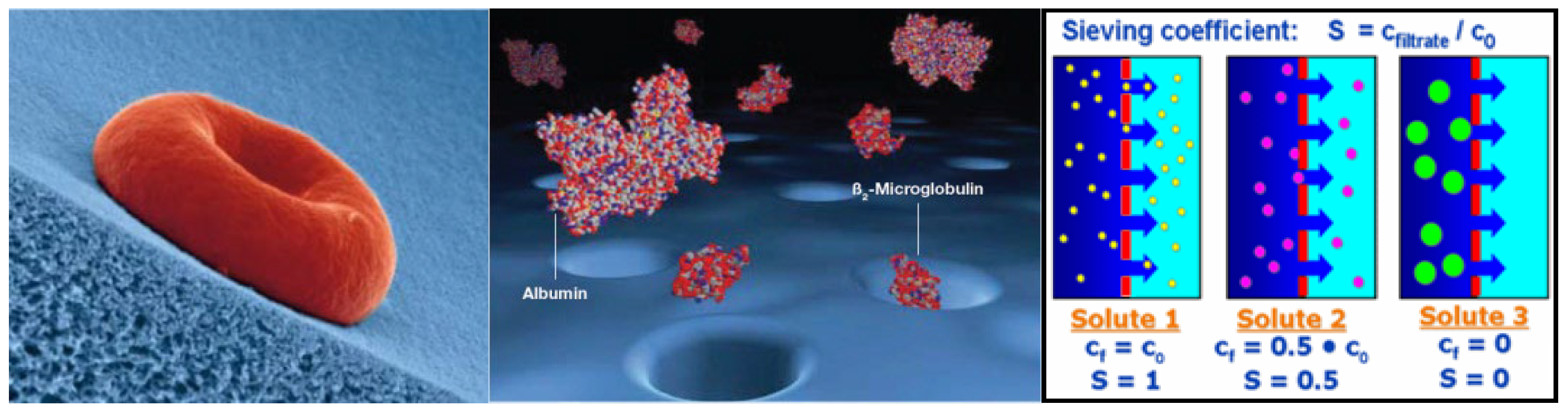 Preprints 197424 g001