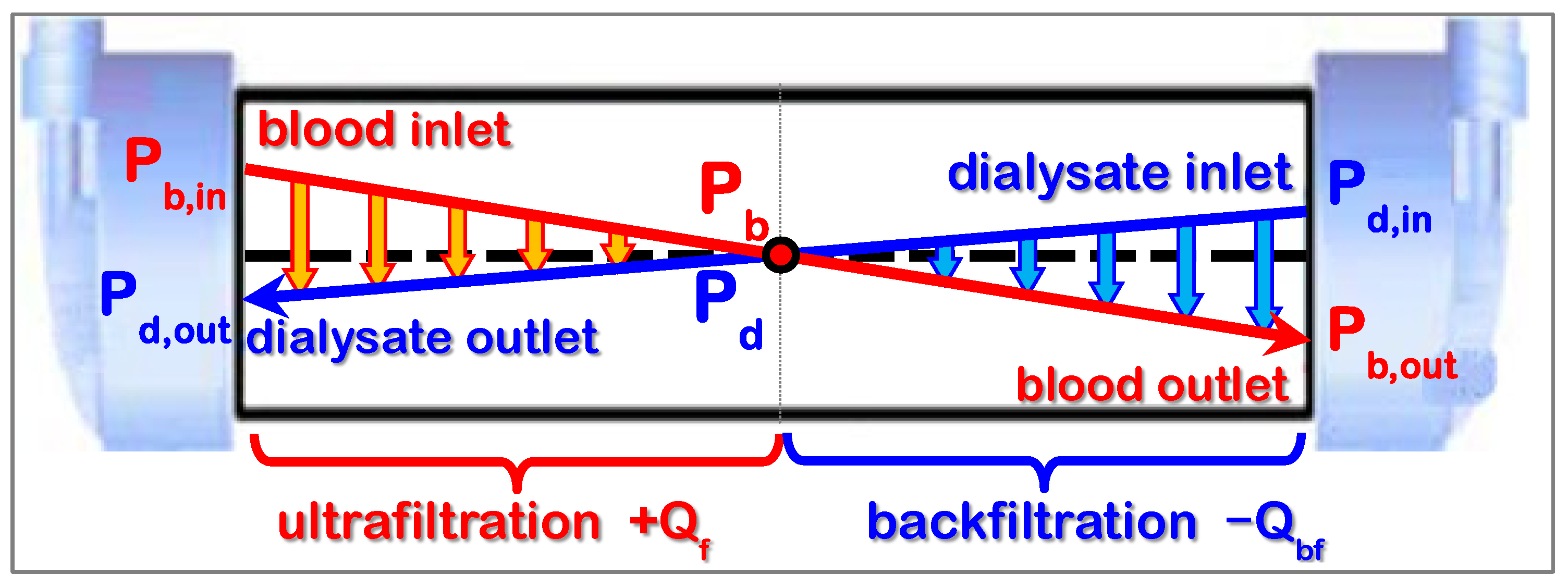 Preprints 197424 g004