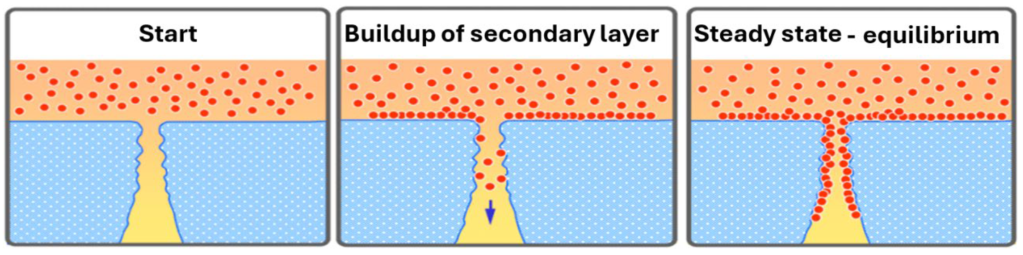 Preprints 197424 g006