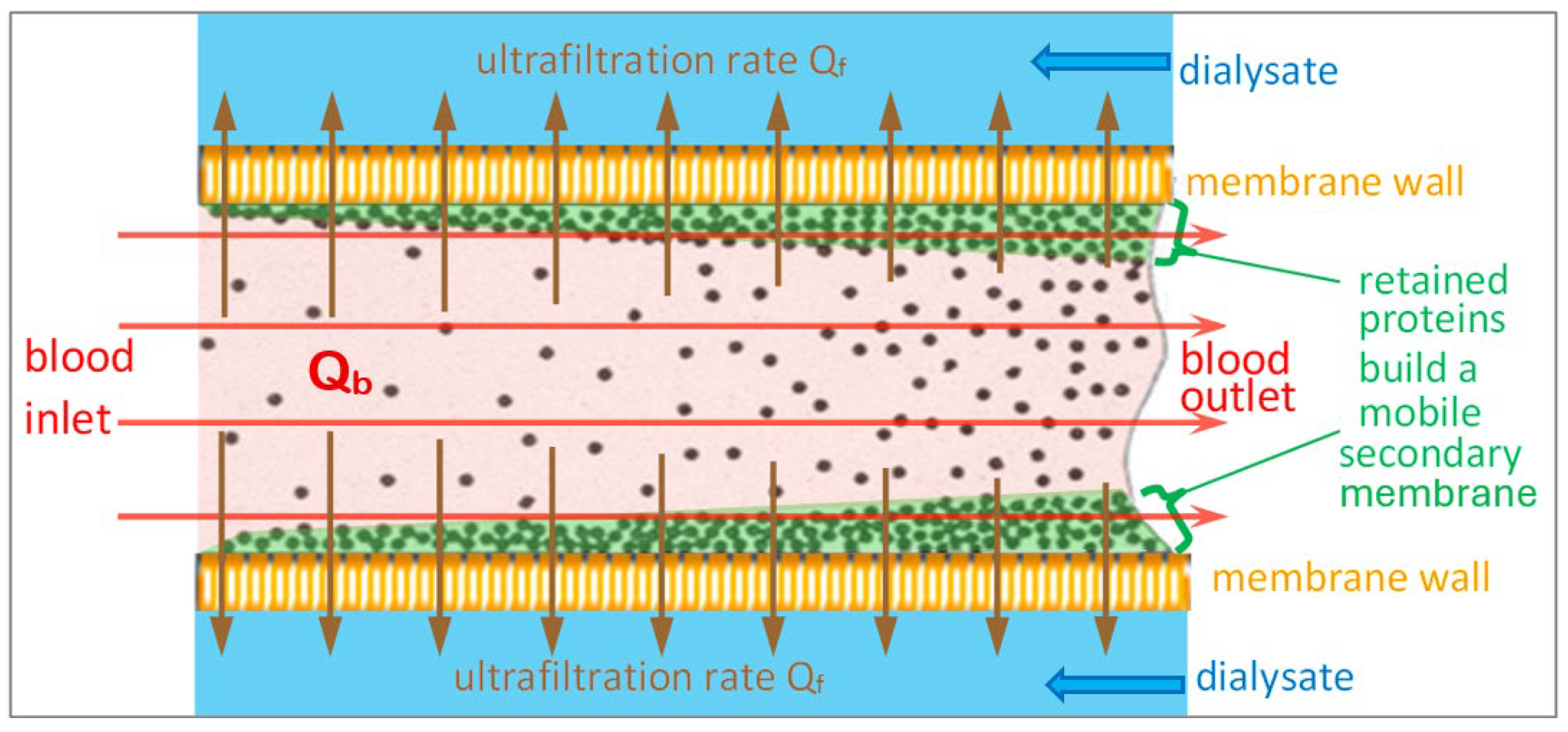 Preprints 197424 g008