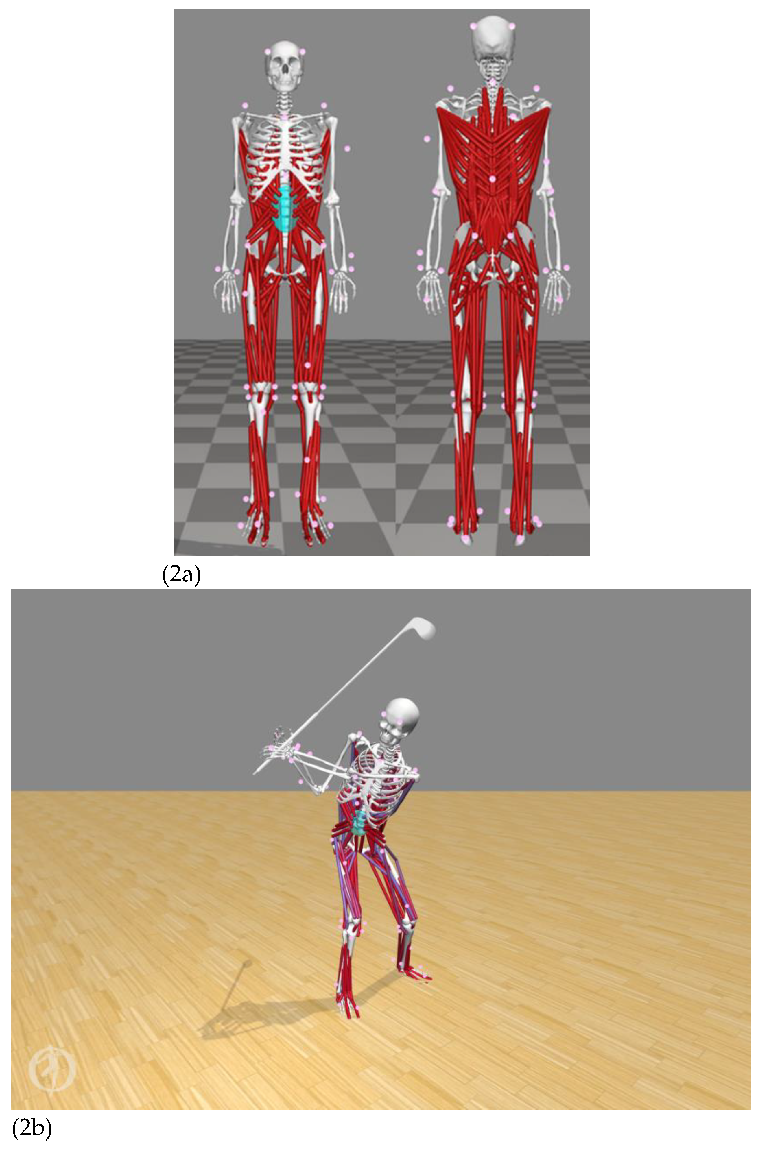Preprints 96153 g002