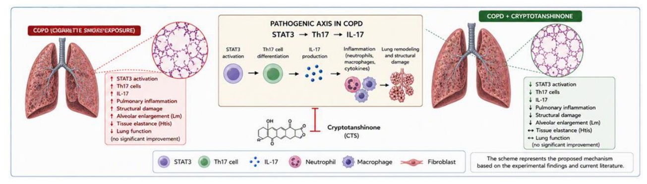 Preprints 229013 g006