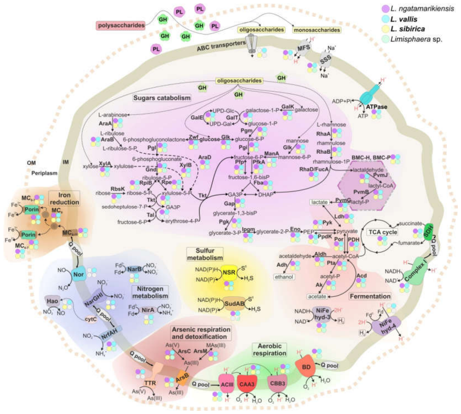 Preprints 231005 g005 Preprints 231005 g005