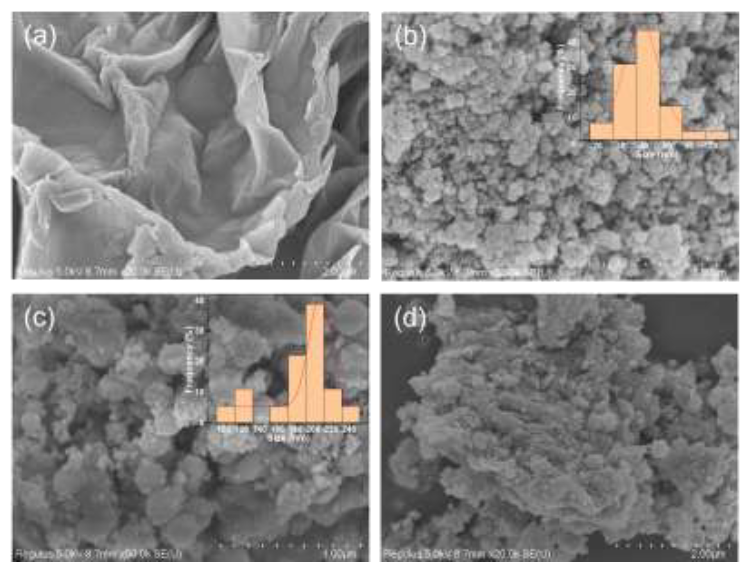 Preprints 146335 g002