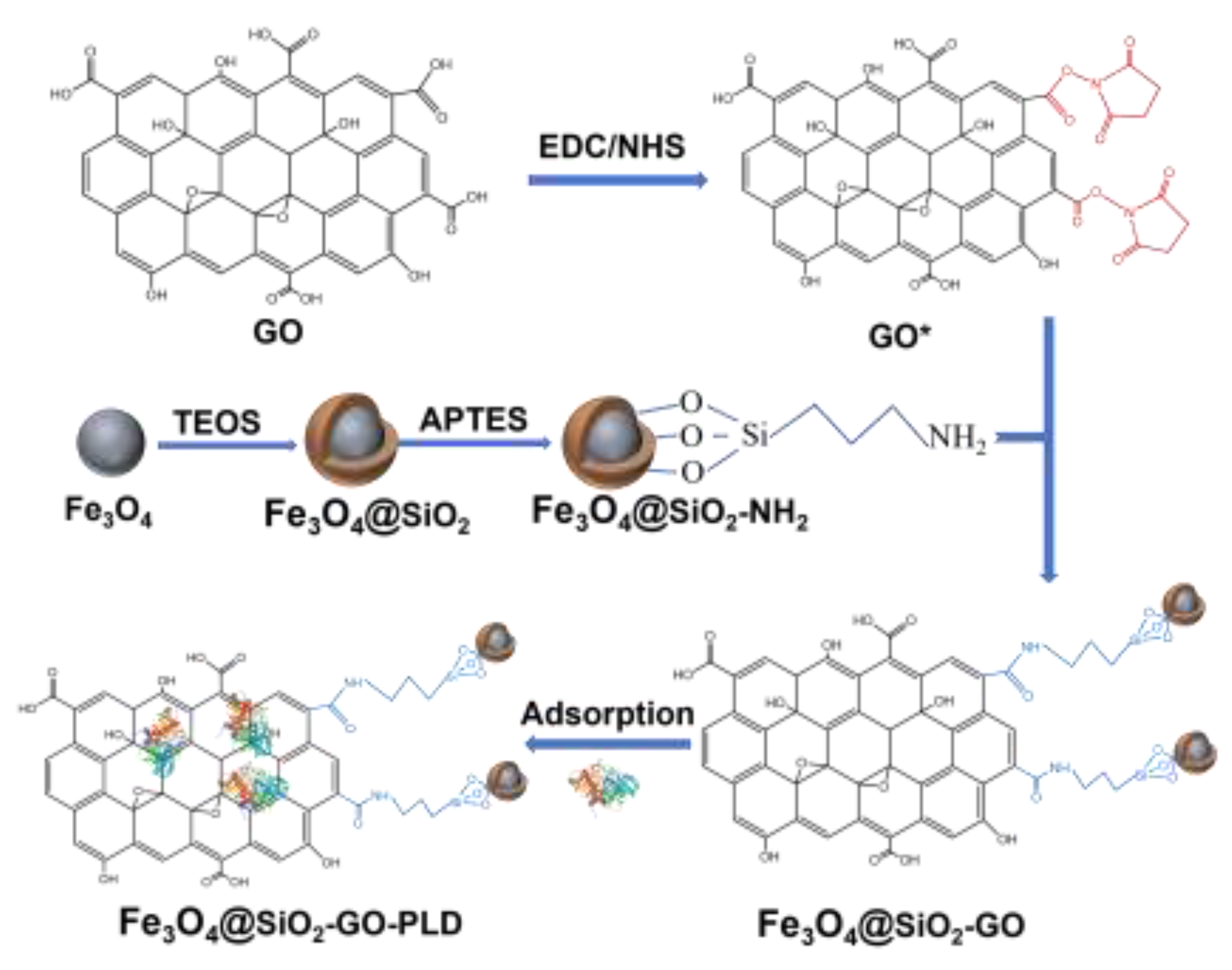 Preprints 146335 g009