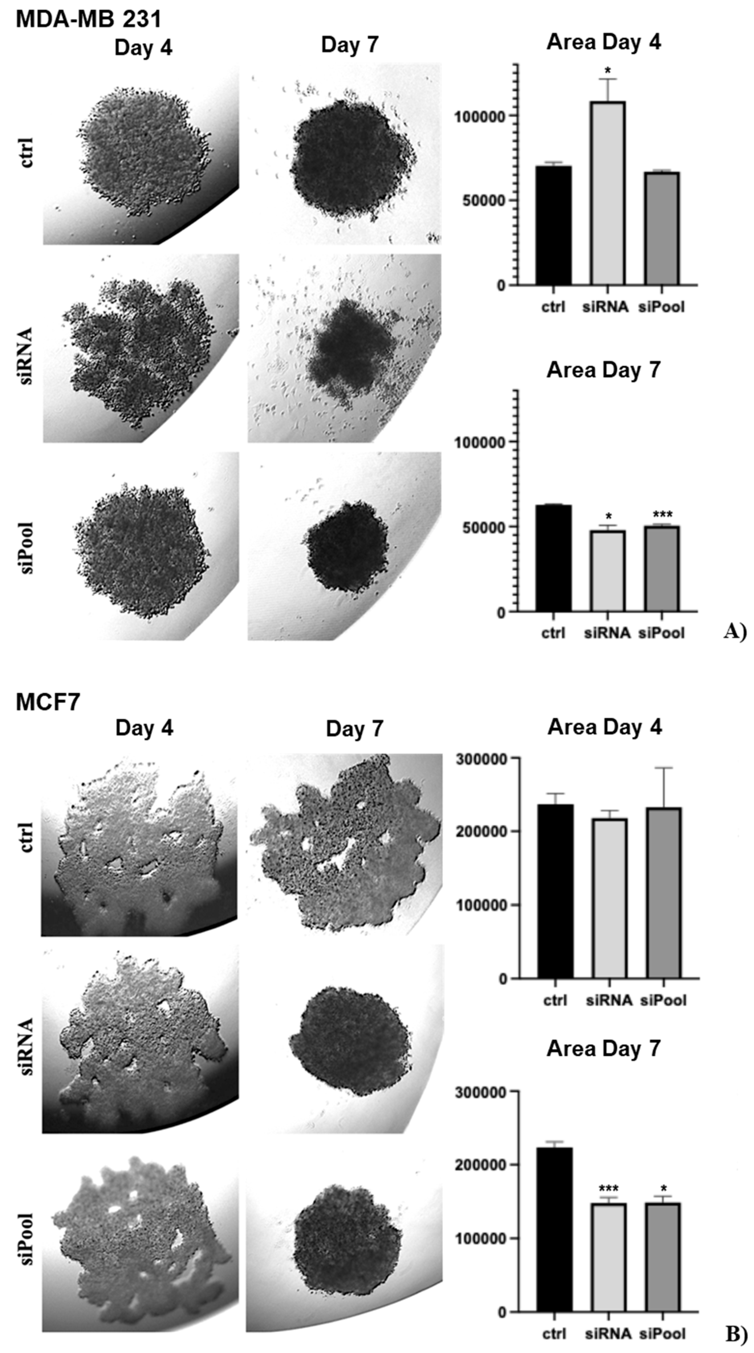 Preprints 163777 g004