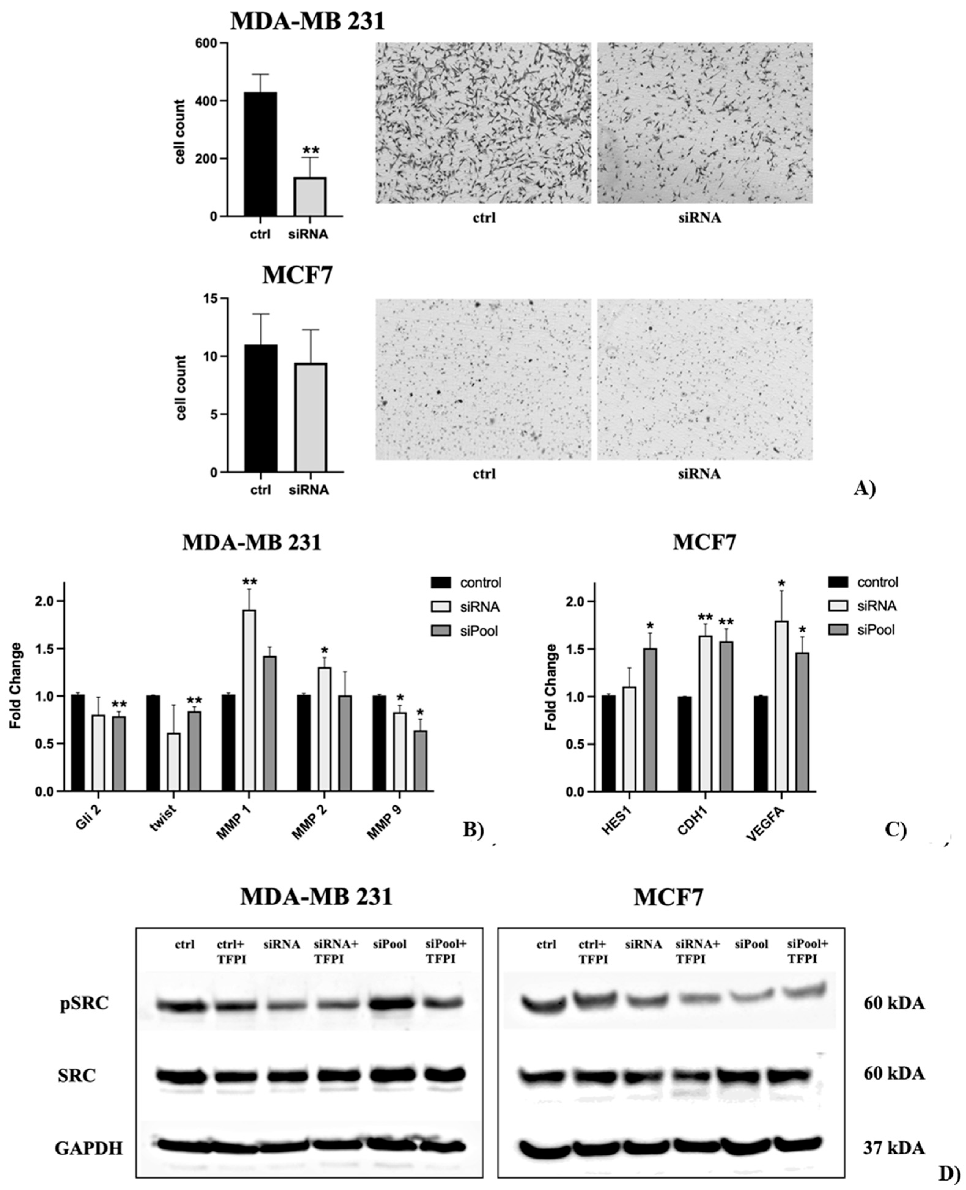 Preprints 163777 g005