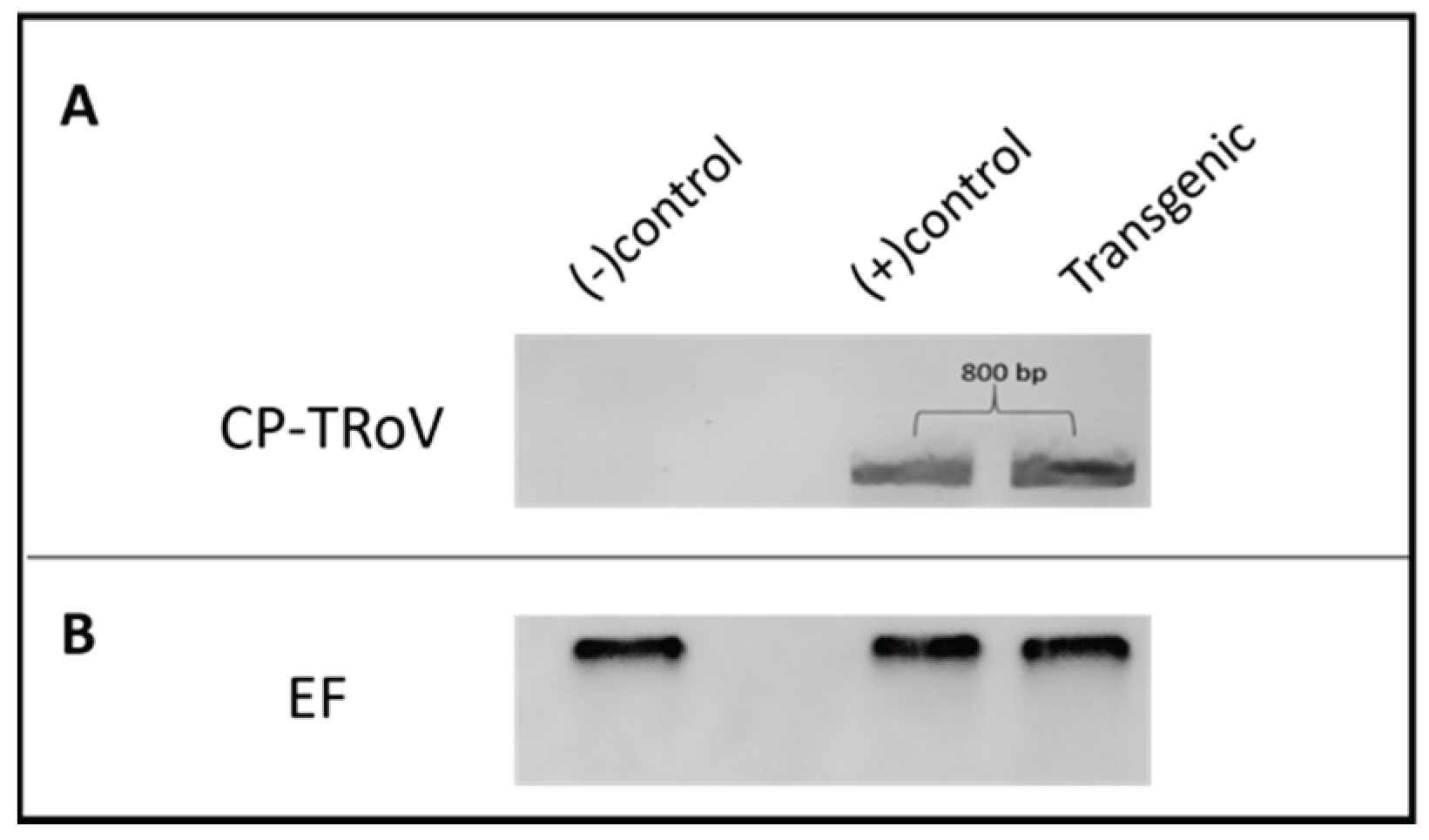 Preprints 159682 g001