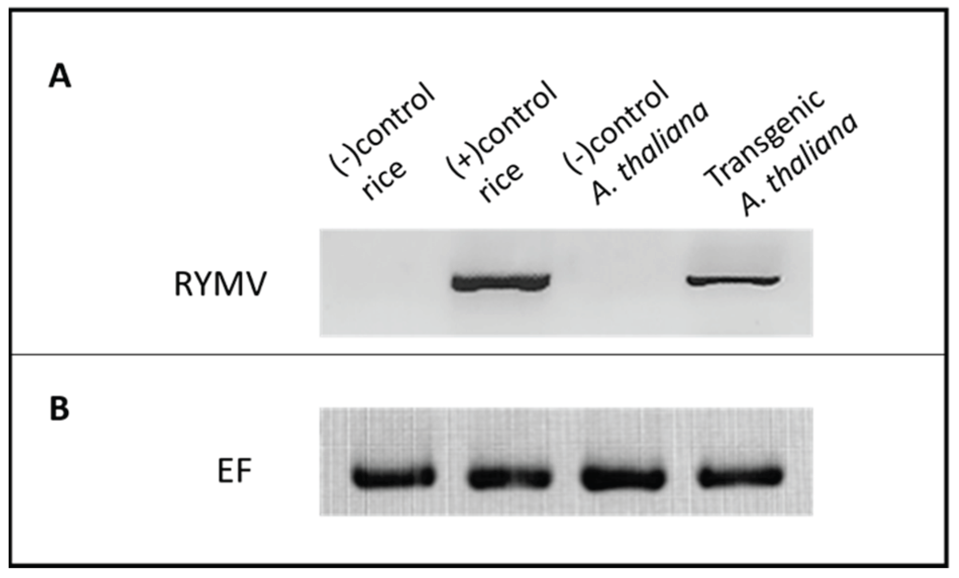 Preprints 159682 g002