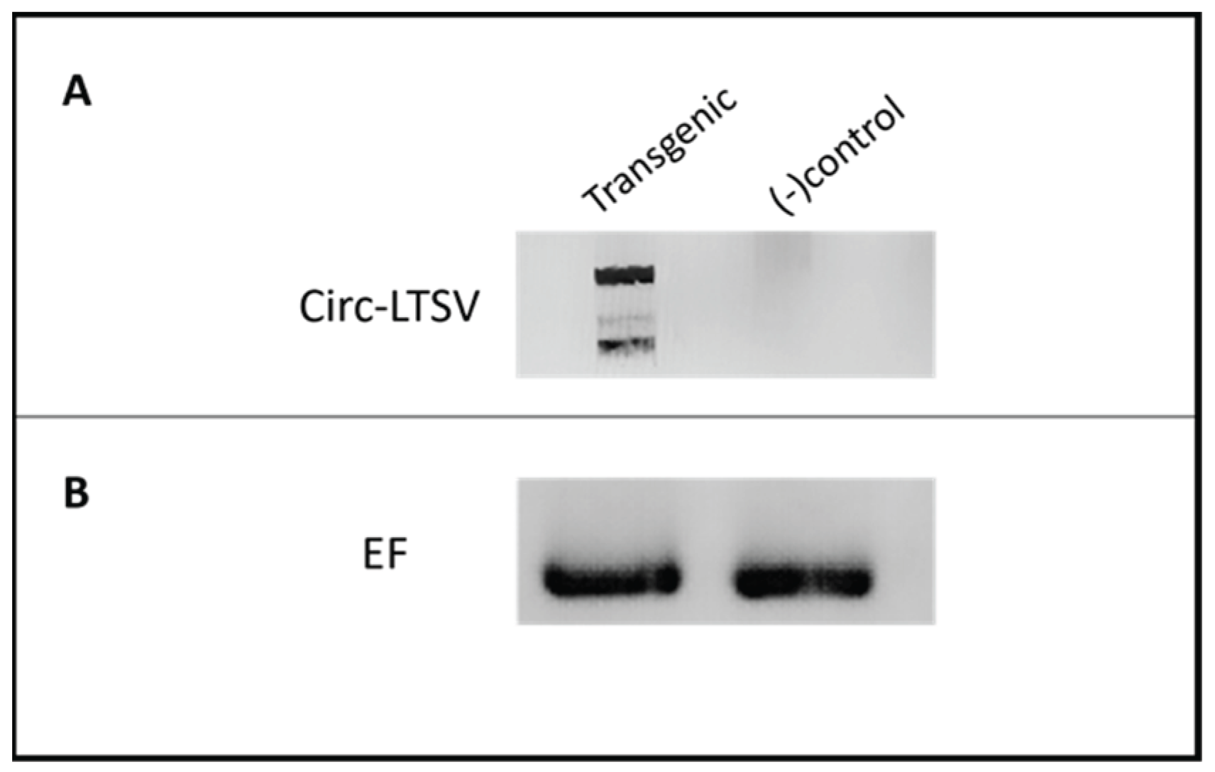 Preprints 159682 g003